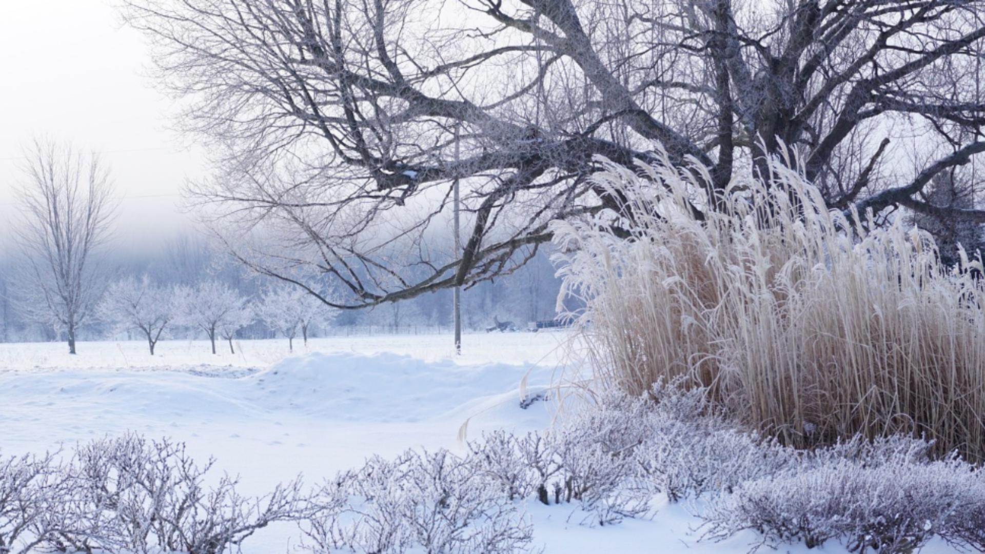 Prognoză meteo ROMÂNIA: Crăciun și Revelion sub temperaturi anormale. ANM avertizează că urmează un GER NĂPRASNIC