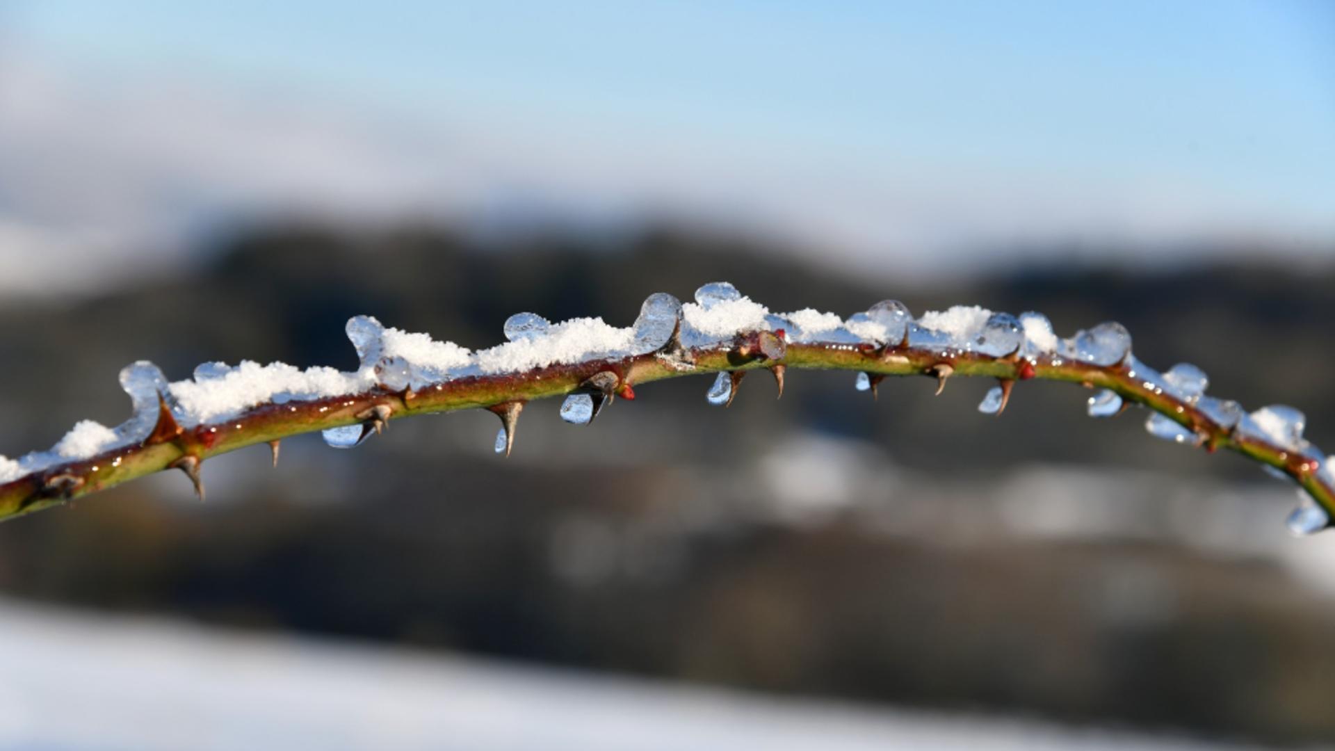 Cum va fi vremea în decembrie. ANM a actualizat estimările: prognoza meteo pentru următoarele 4 săptămâni/ Profimedia