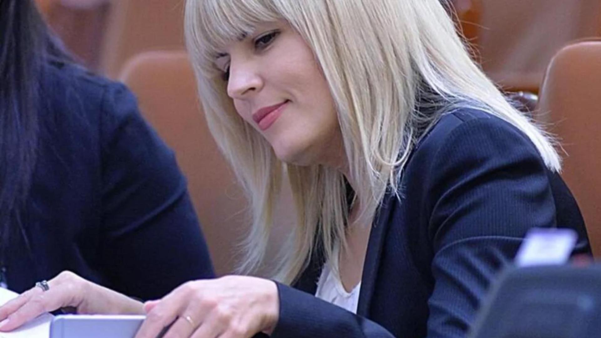 Elena Udrea, un alt Crăciun după gratii: „Le doresc un Crăciun ca al meu!”