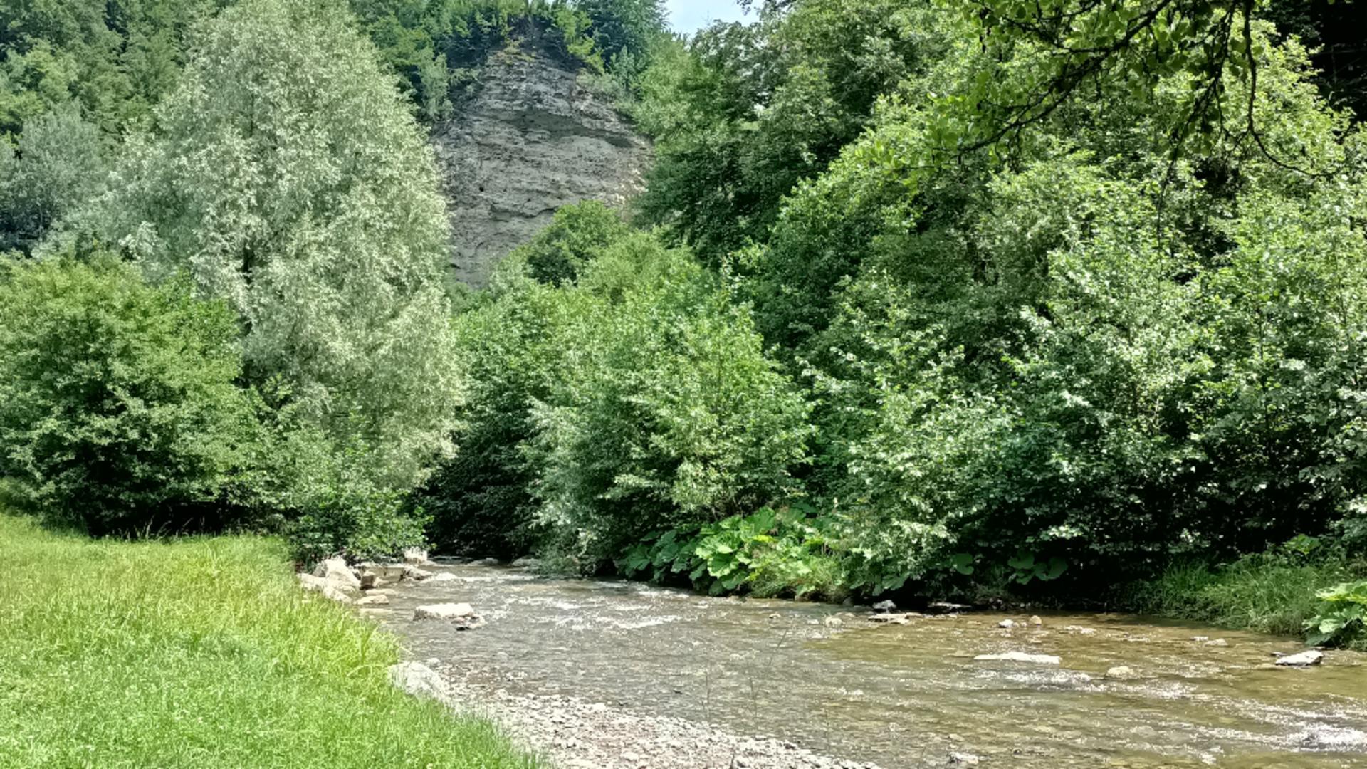 Râul Vâlsan, habitatul aspretelui