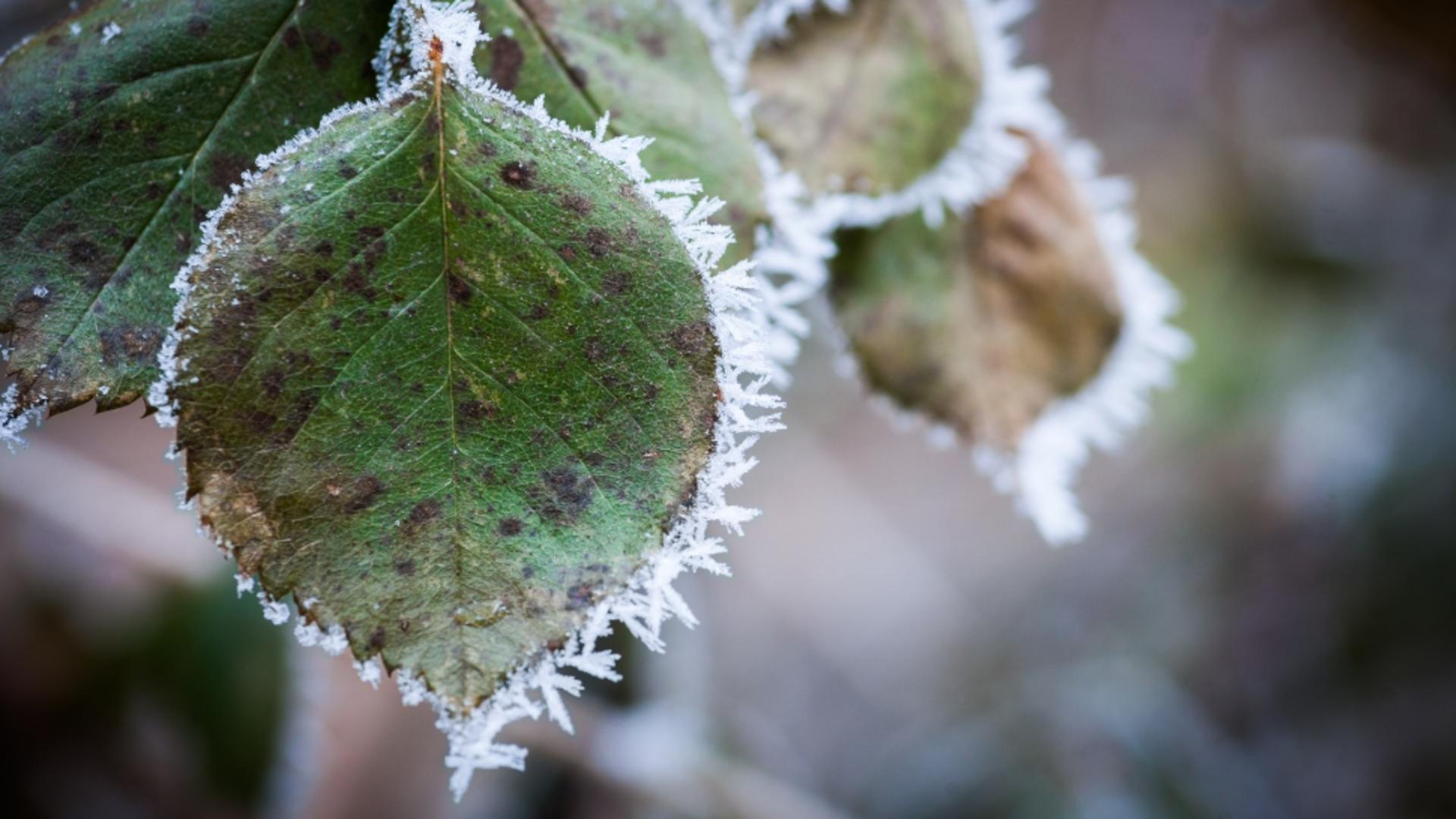 Vremea 13 decembrie. Ceață și GER dimineața și seara. Minimele pot coborî și până la -15 grade Celsius/Profimedia