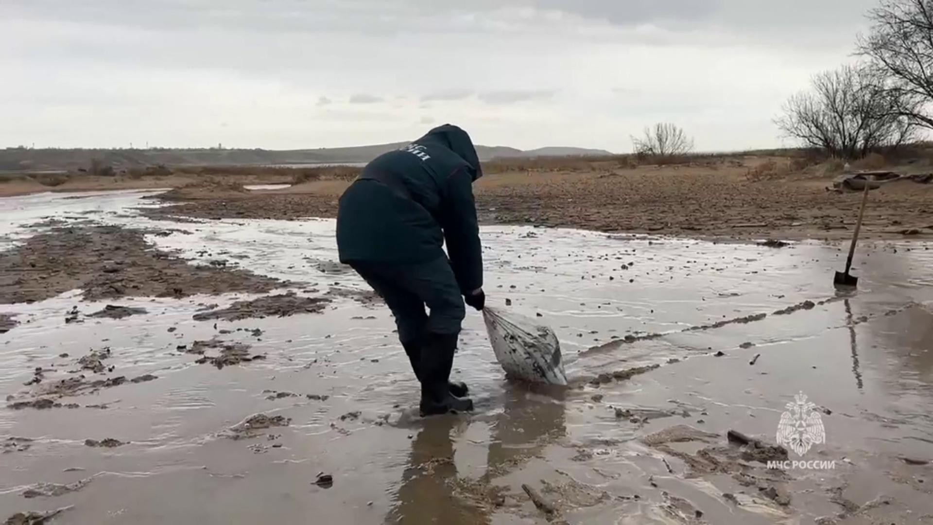 Marea Neagră în pericol. Foto: Profimedia