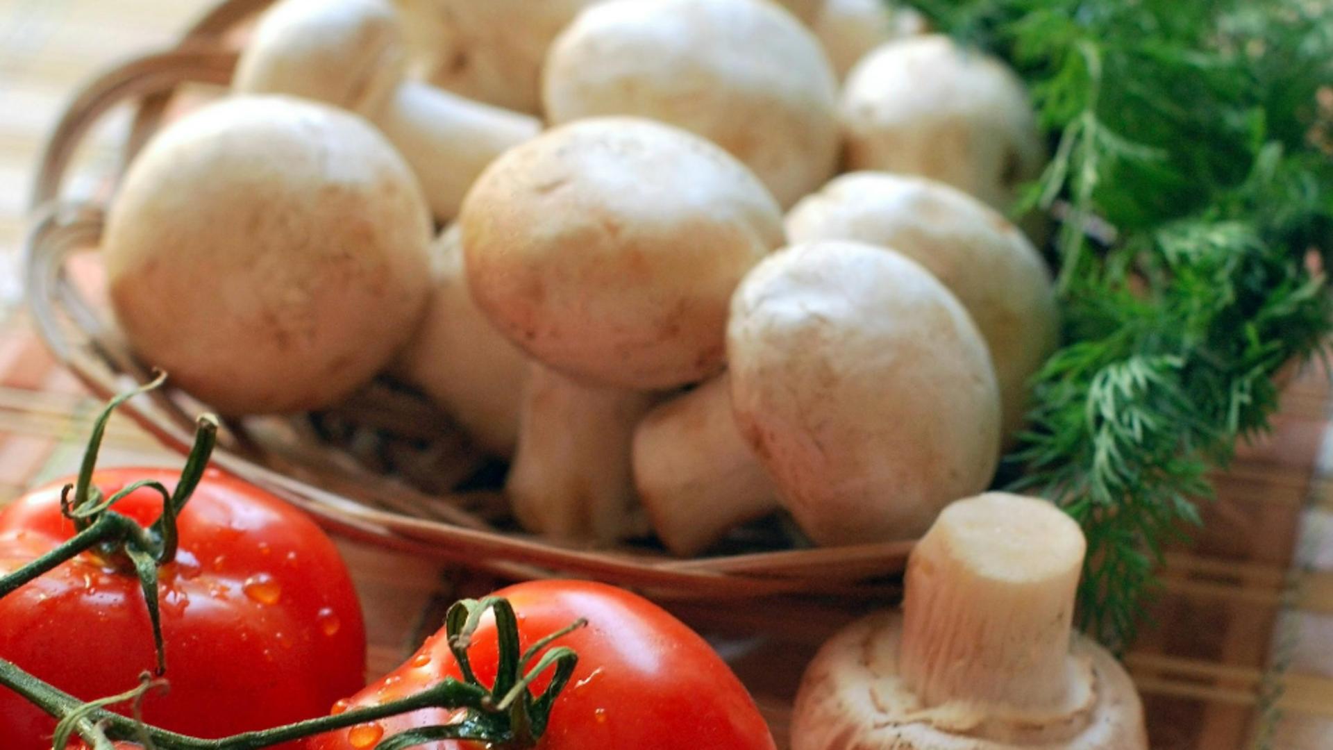 Unde se depozitează corect ciupercile și cât timp se pot păstra