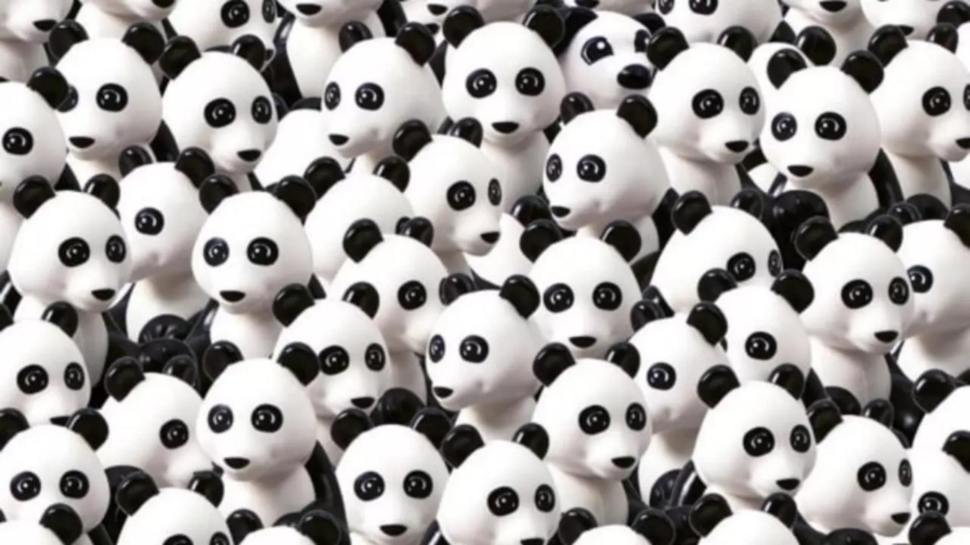  Poți să găsești cățelul ascuns printre urșii panda în numai 10 secunde?