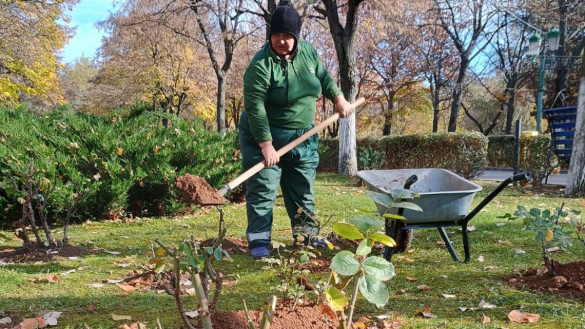 Totul Verde, realizări remarcabile în 2024