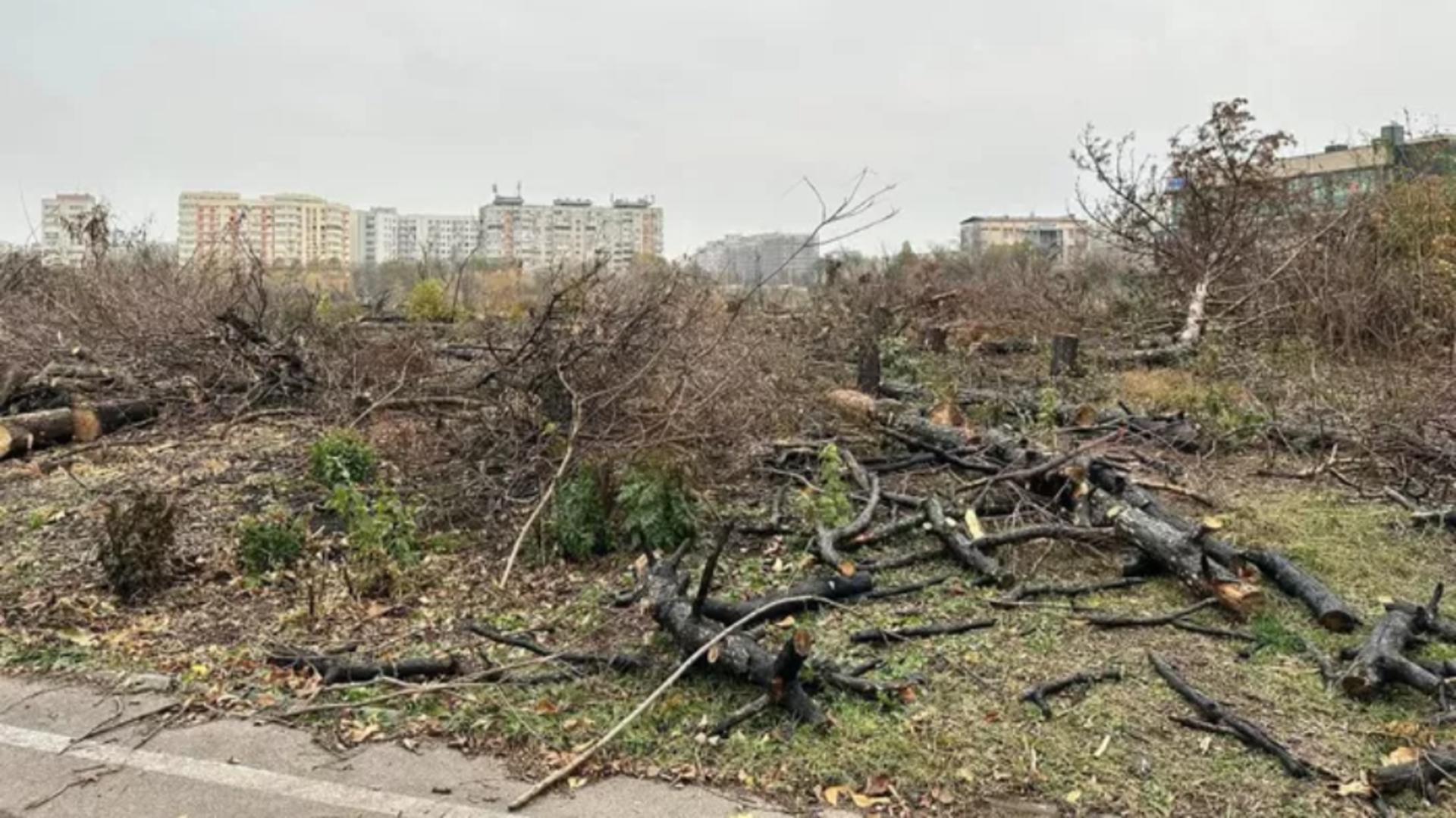 Parcul IOR, devastat: sute de copaci au fost tăiați. Peisaj dezolant lăsat în urmă