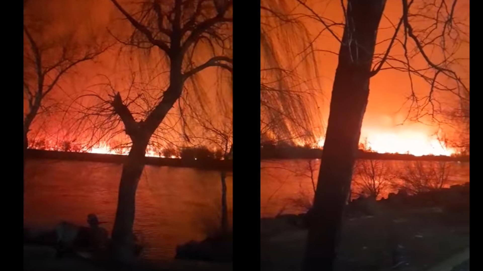 Incendiu în Delta Dunării 