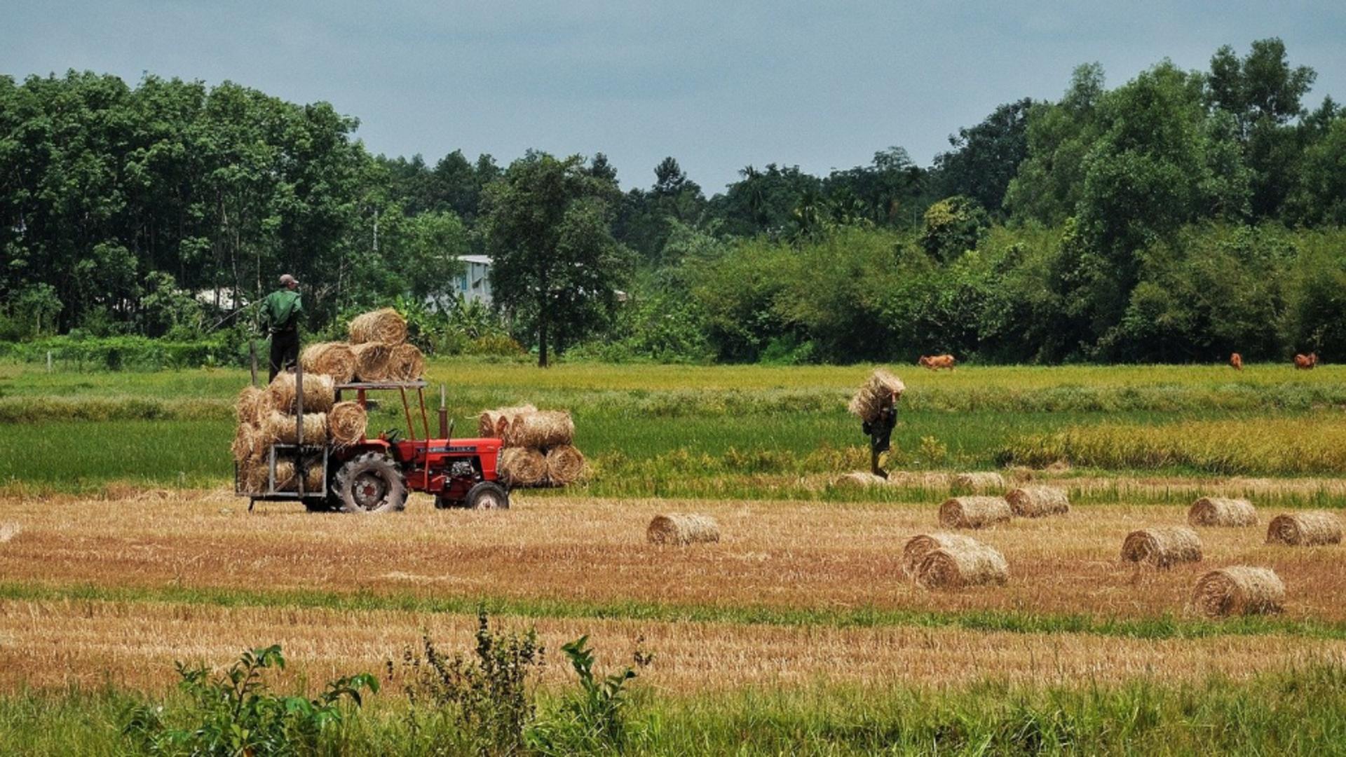 Ajutor de stat pentru motorina din agricultură. Vești bune pentru fermieri