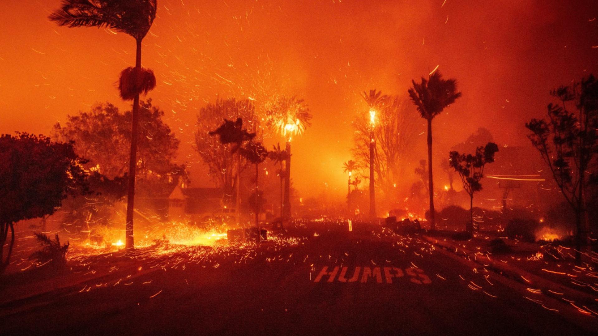 Stare de urgență în Los Angeles, după un incendiu violent într-un cartier de lux / Foto: Profi Media