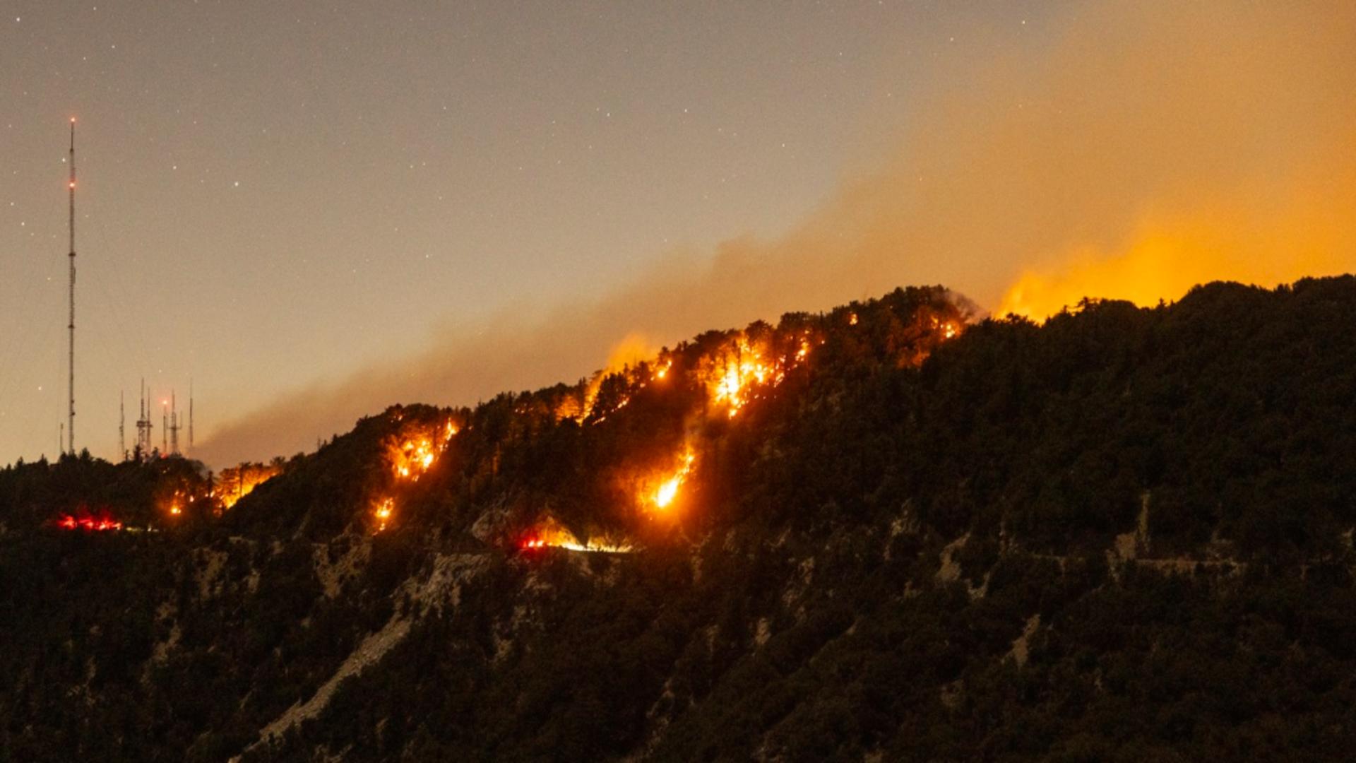 55 de incendii au izbucnit de la începutul anului (Profimedia)