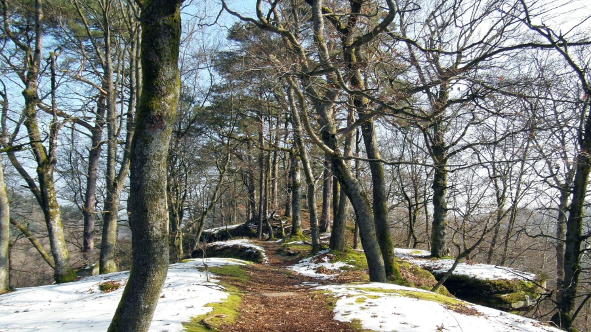 Gerul Bobotezei a fost înlocuit de temperaturi nefirești în România. Directorul general ANM spune cât durează valorile de primăvară, de peste 13 grade Celsius