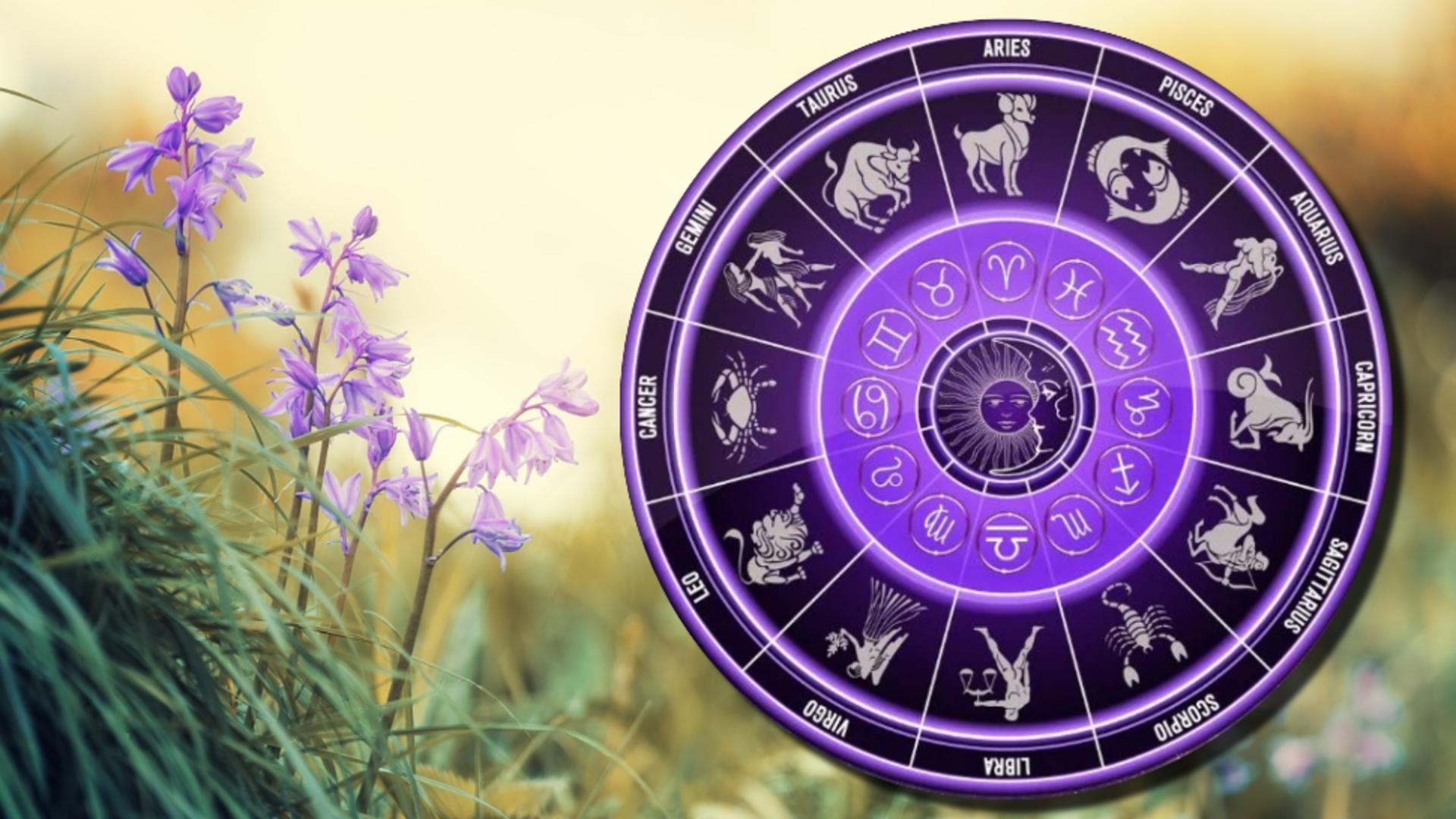 Cele trei zodii care vor face furori primăvara aceasta. FOTO: Pixabay/ Colaj Realitatea.net