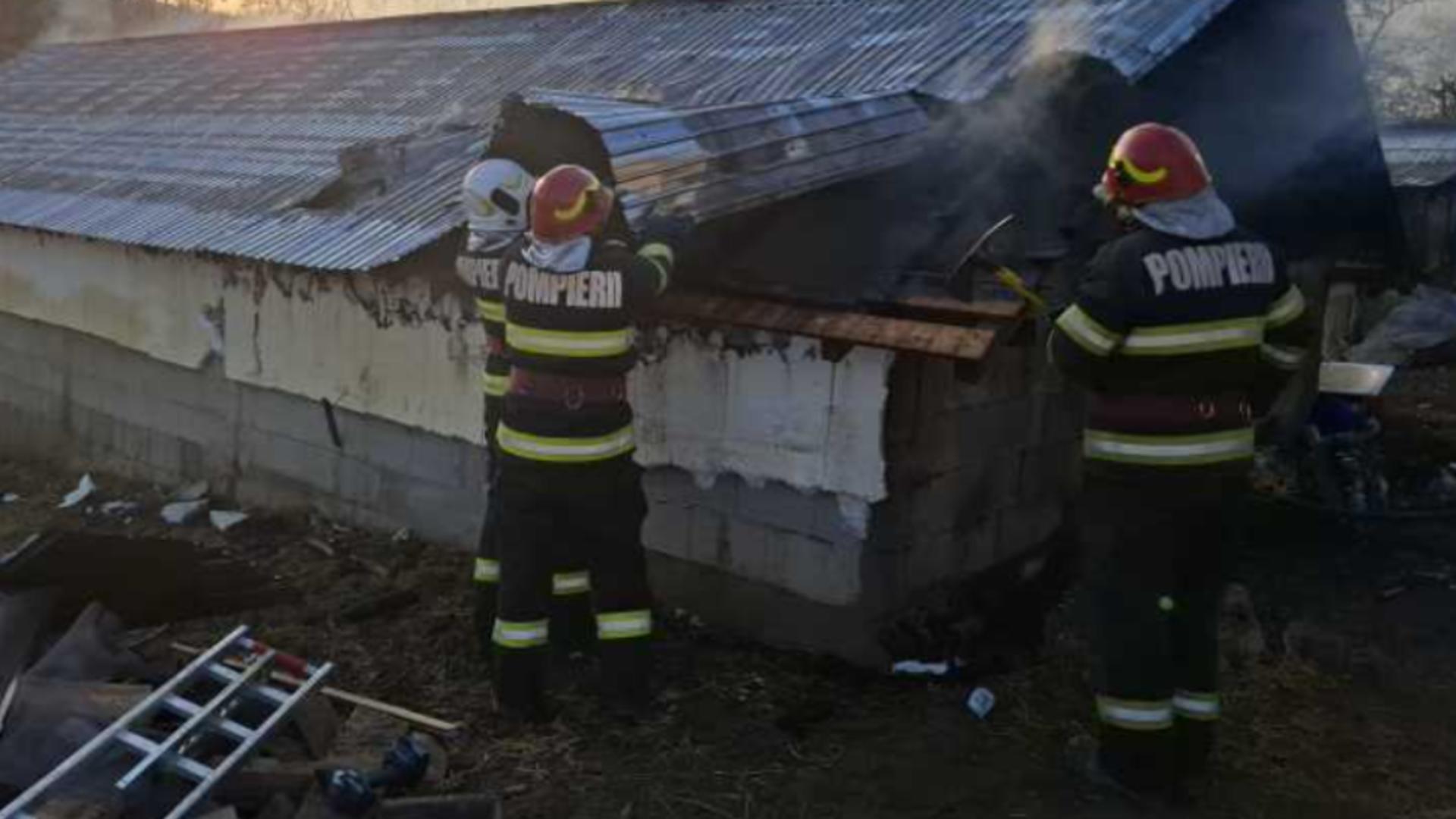 Un incendiu a mistuit un adăpost de animale din Probota, Suceava