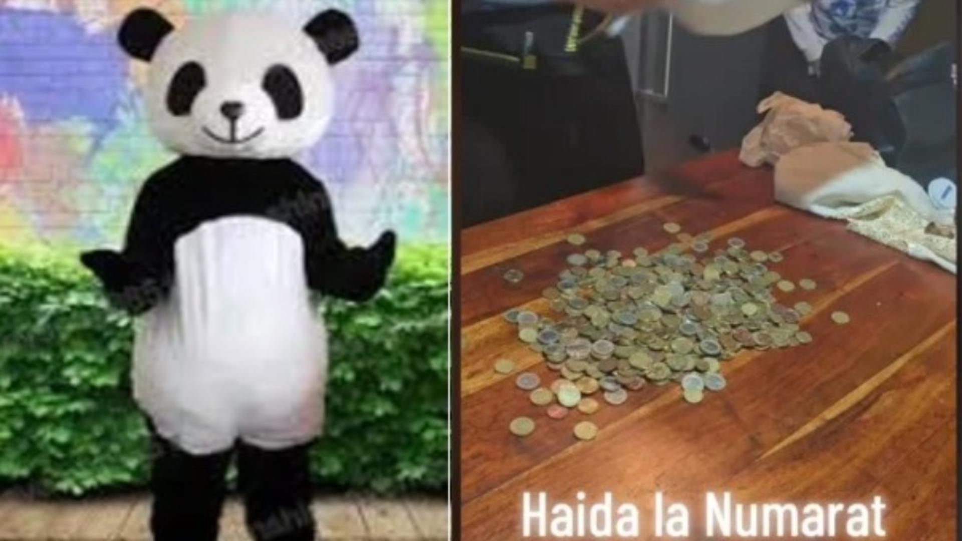 Câți bani face un român îmbrăcat în costum de urs panda în Italia