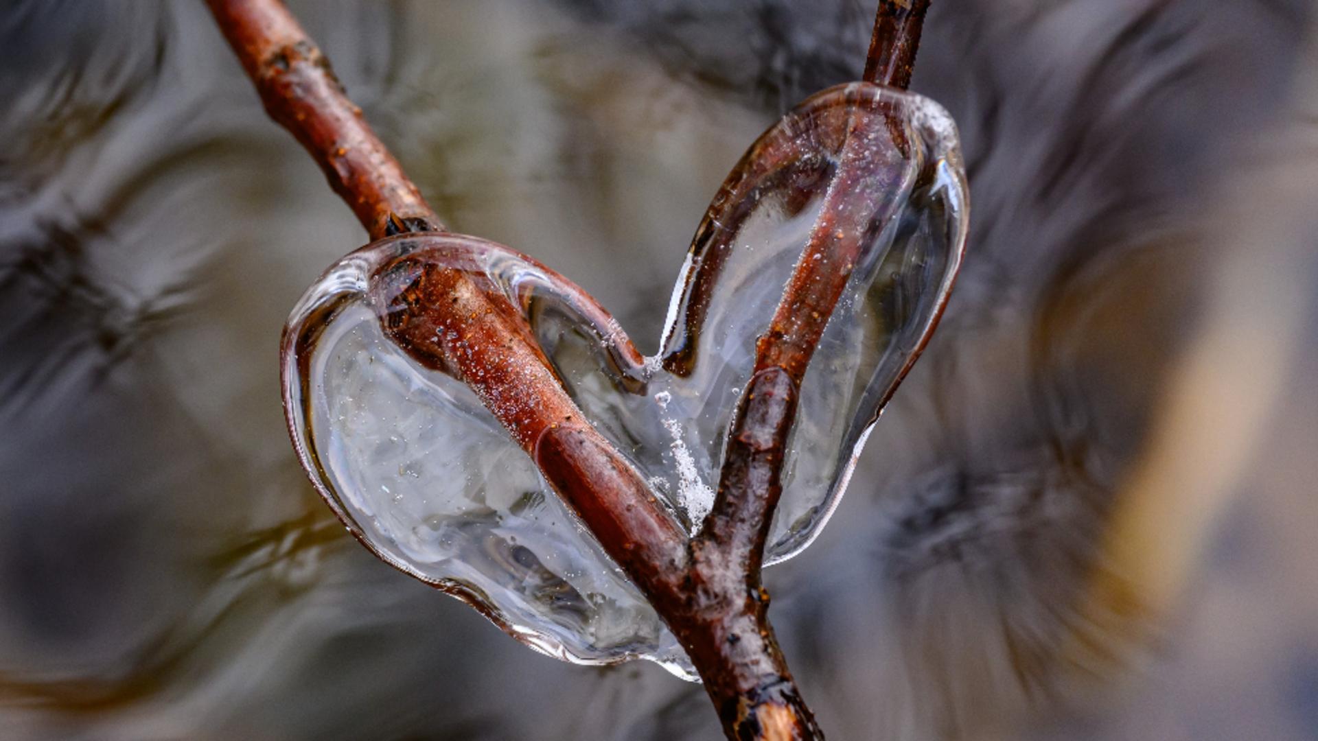 Prognoza meteo 14 februarie. Vremea schimbă foaia de Valentine's Day. Ce temperaturi se vor înregistra asăzi/ Profimedia