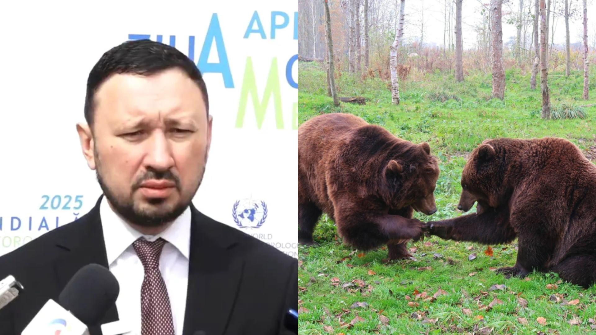 Ministrul Mediului, mesaj după atacul ursului din Predeal asupra șefului Salvamont: „Să împuşcăm şi acei urşi în creierii munţilor, acei urşi care poate nu s-au întâlnit cu omul niciodată în viaţa lor”