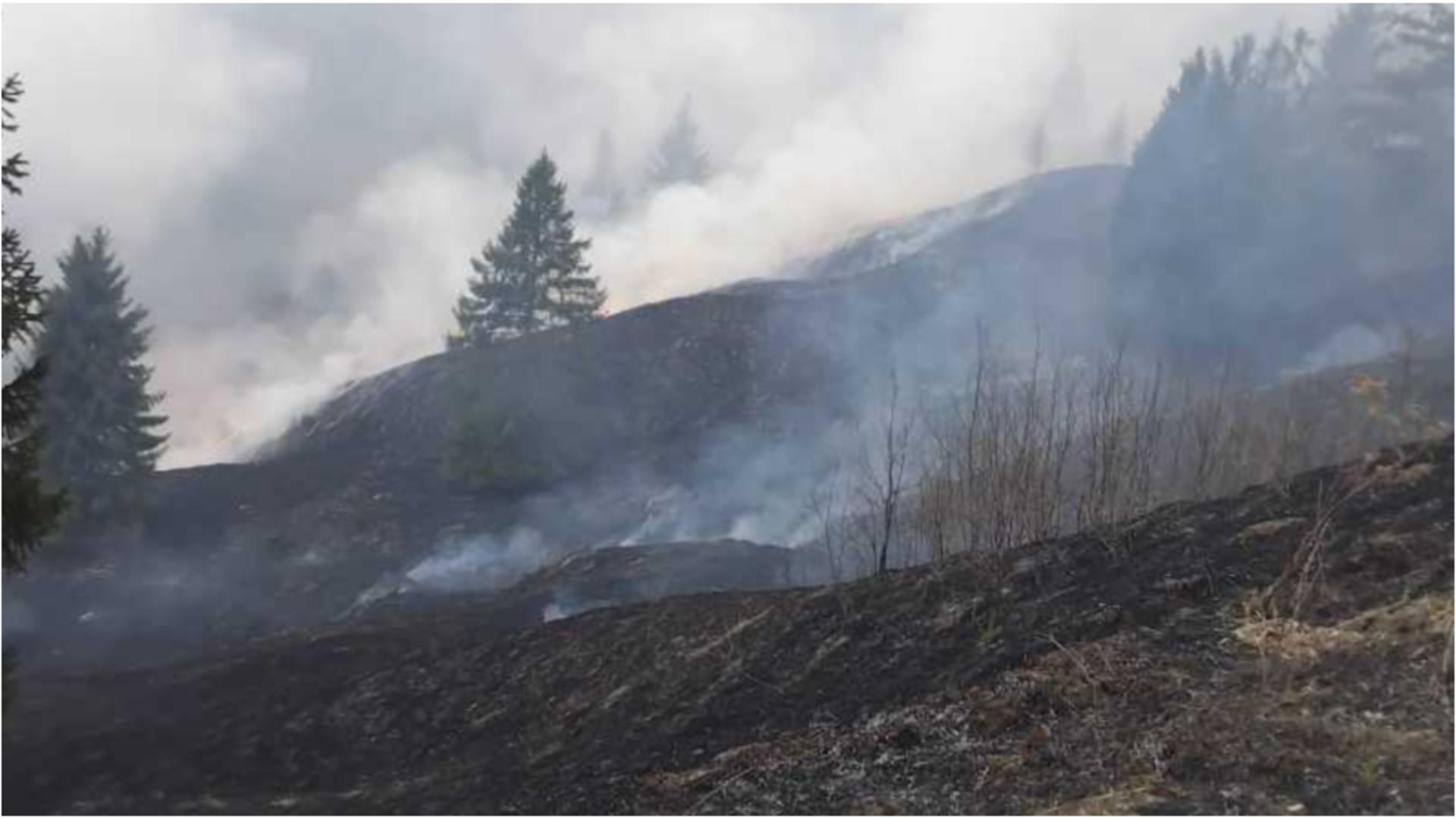 Incendiu de proporții în Neamț. Șapte hectare de vegetație au fost mistuite de flăcări