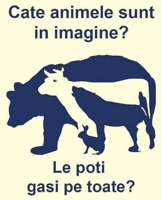 Imagine