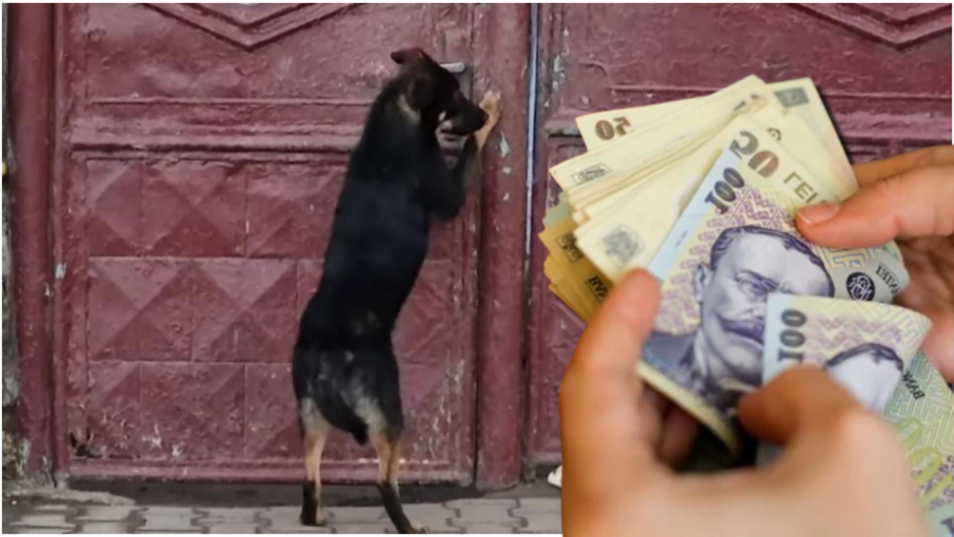 Amenda colosală pe care a primit-o un bătrân din Mureș 