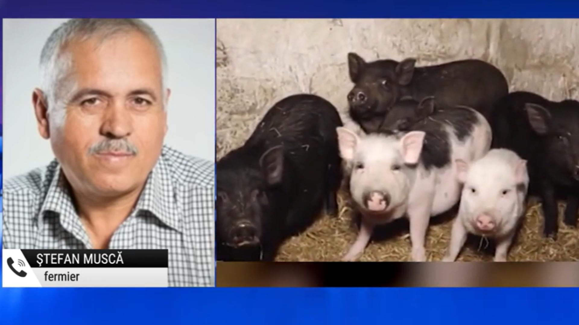 Strigăt de ajutor de la fermieri: Comunitatea Europeană nu vrea să mai producem în țară