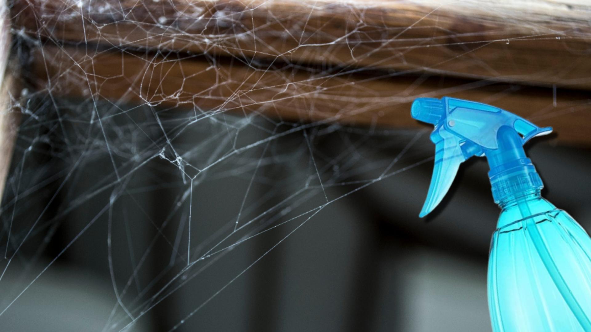 Trucul care te scapă de pânzele de păianjen din casă