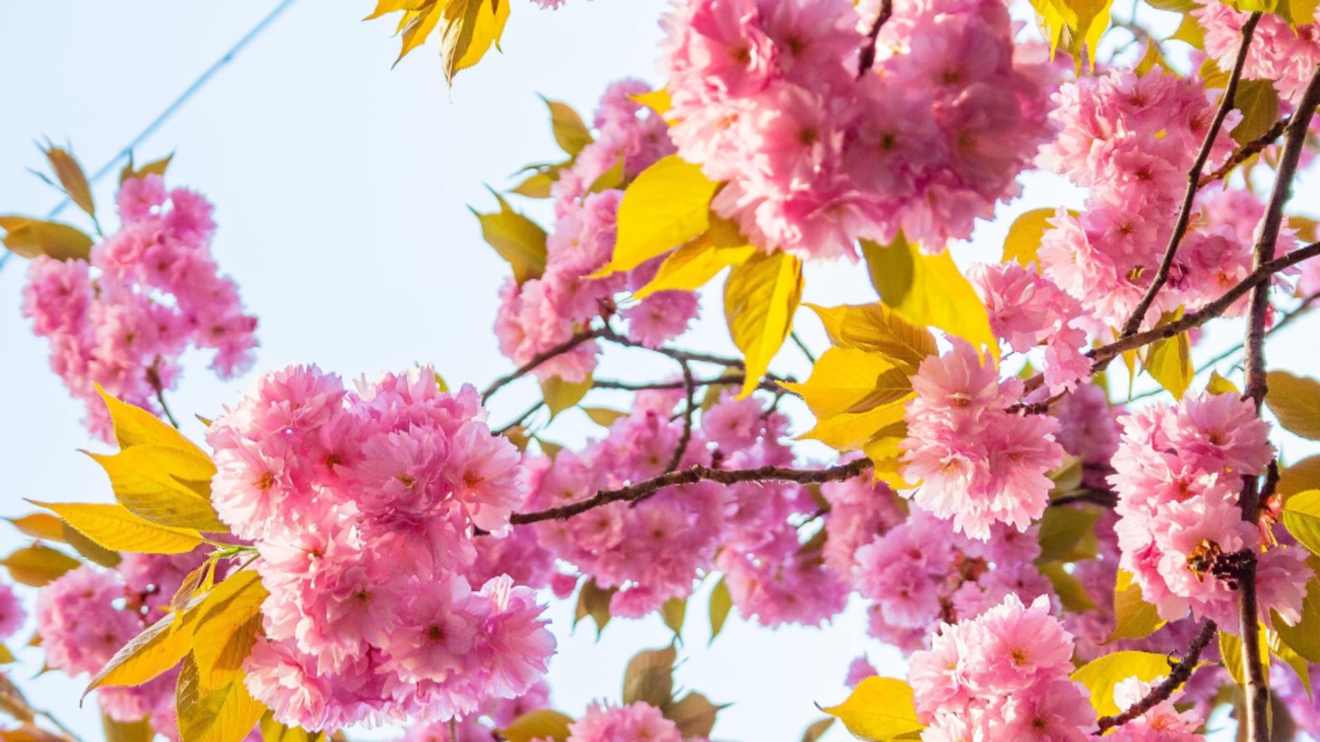 Vremea 29 aprilie. Cresc TEMPERATURILE în toată țara: noile date de la ANM/ Profimedia