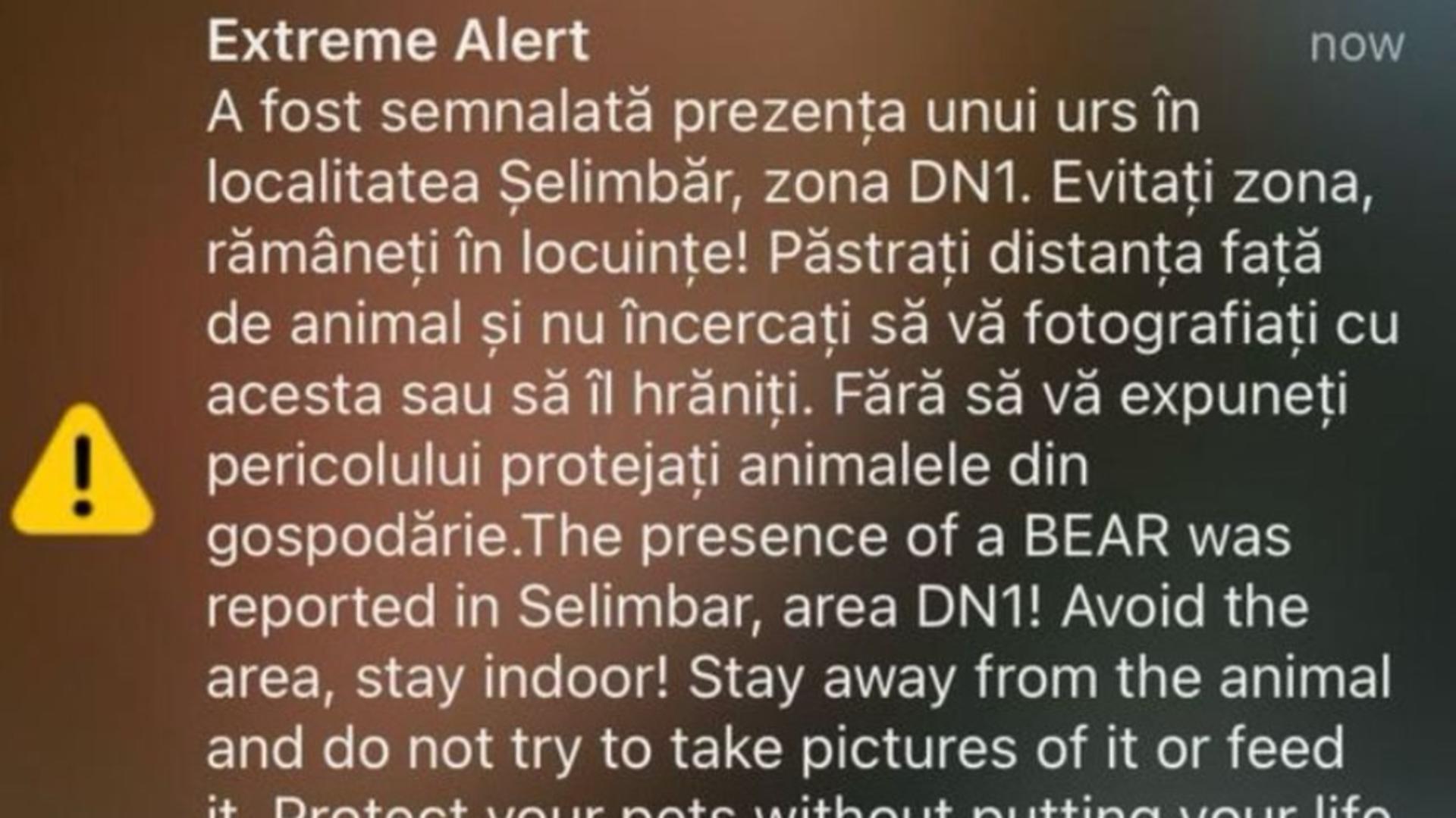 Mesaj Ro-Alert emis la Sibiu: o ursoaică cu pui, observată pe DN 1