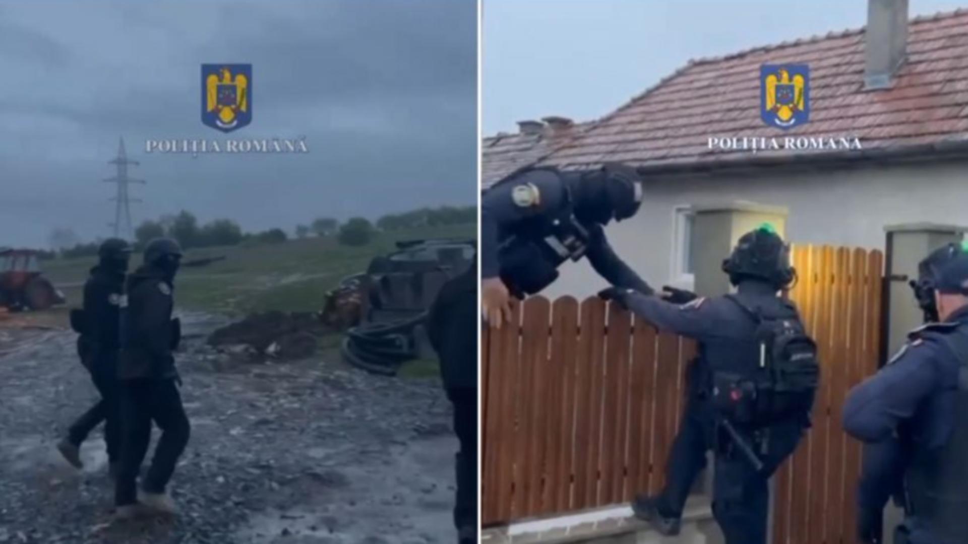 Ample percheziții în județul Mureș, într-un dosar penal la regimul silvic. Prejudiciu estimat la aproximativ 50.000 de lei