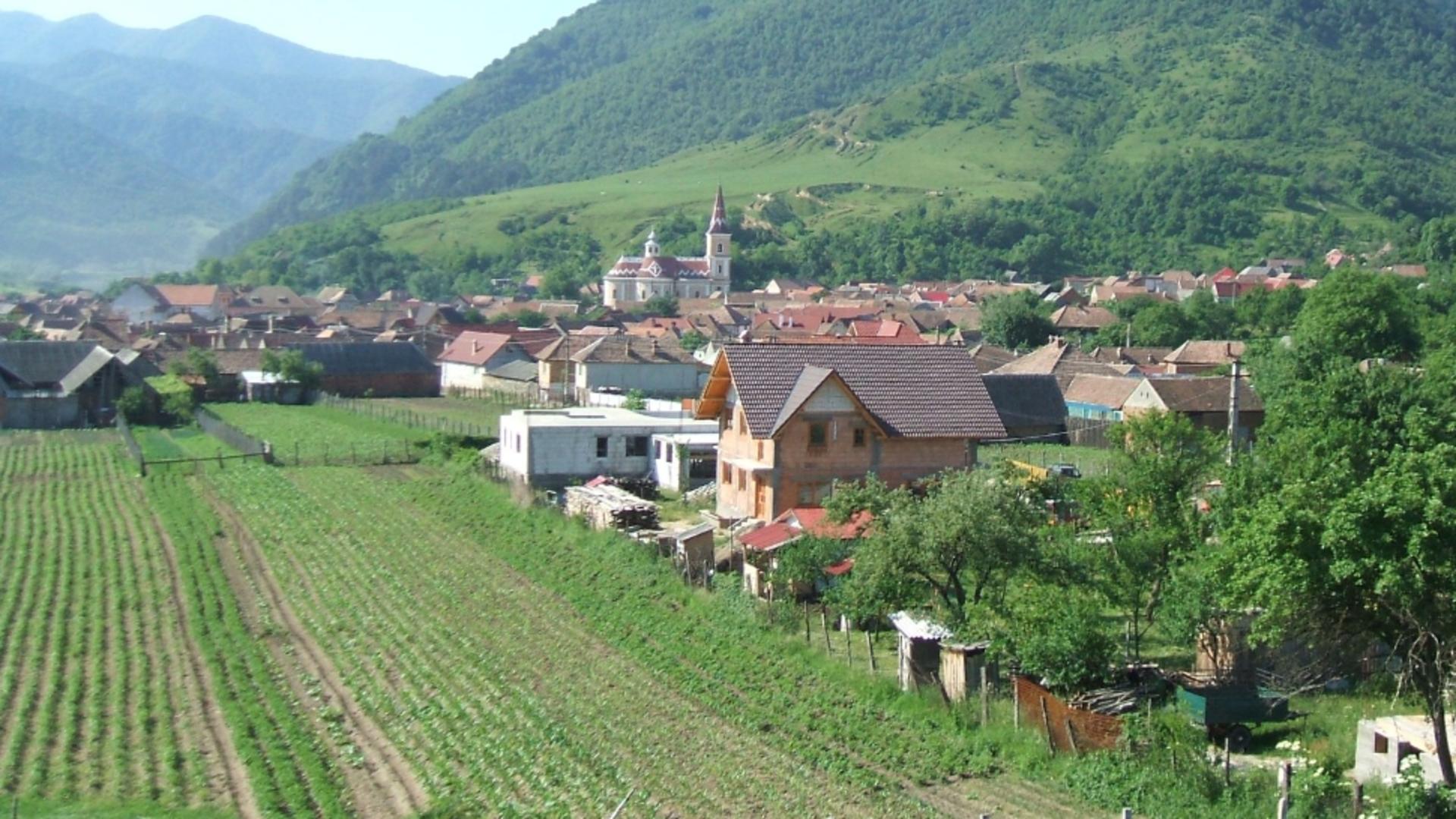 Comun aBoița, județul Sibiu. Foto: Facebook