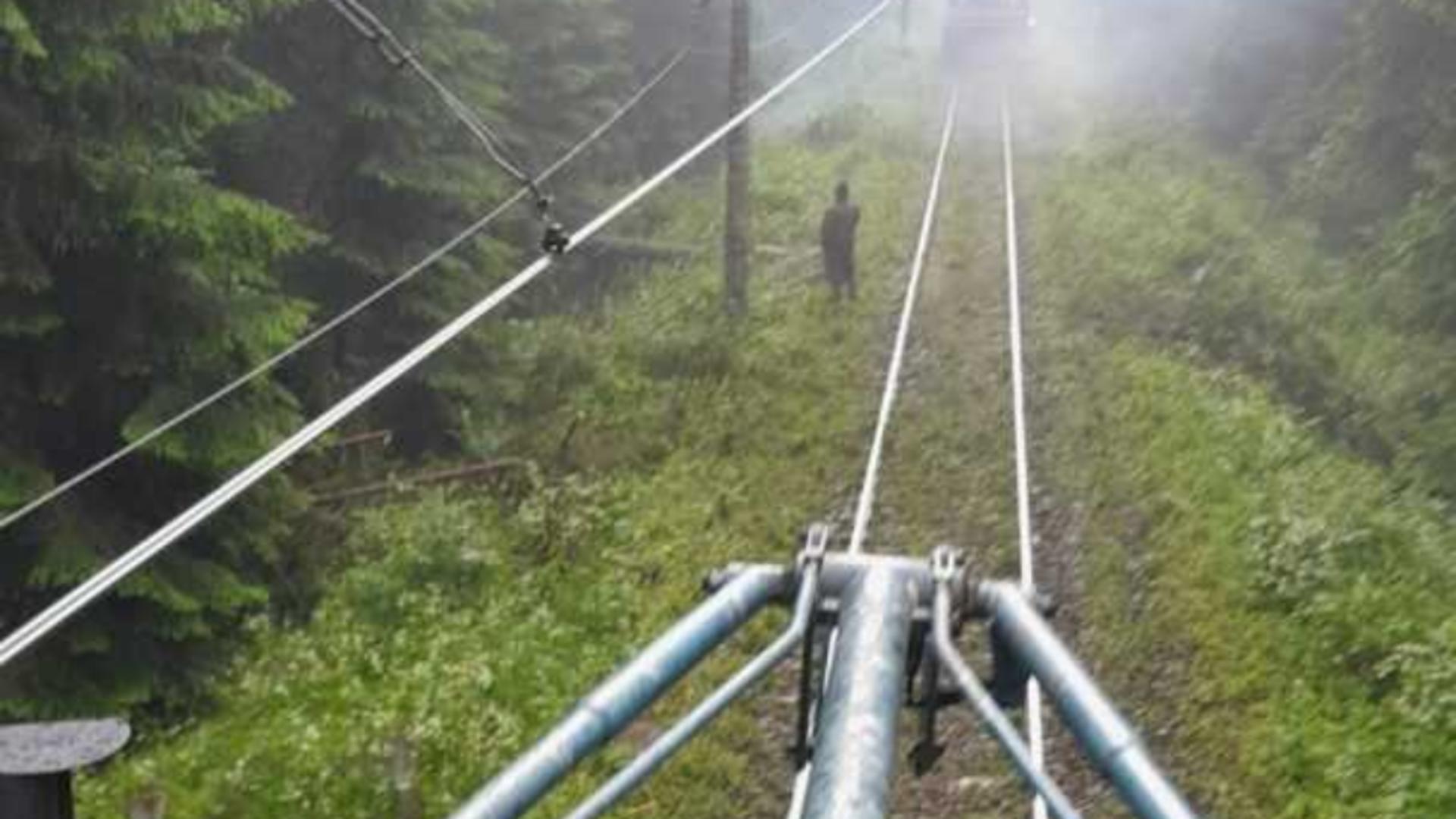 Fir de contact rupt de căderile de copaci pe Magistrala 400,  între Răstolița și Lunca Bradului. Traficul perturbat