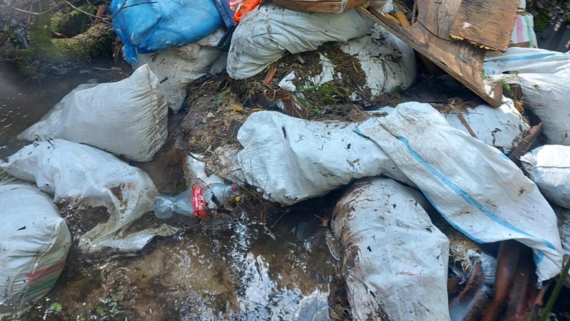 Un munte de deșeuri, aruncate în albia unui pârâu din Cluj! Risc major de dezastru ecologic: cine se face vinovat/ Captură Știri de Cluj