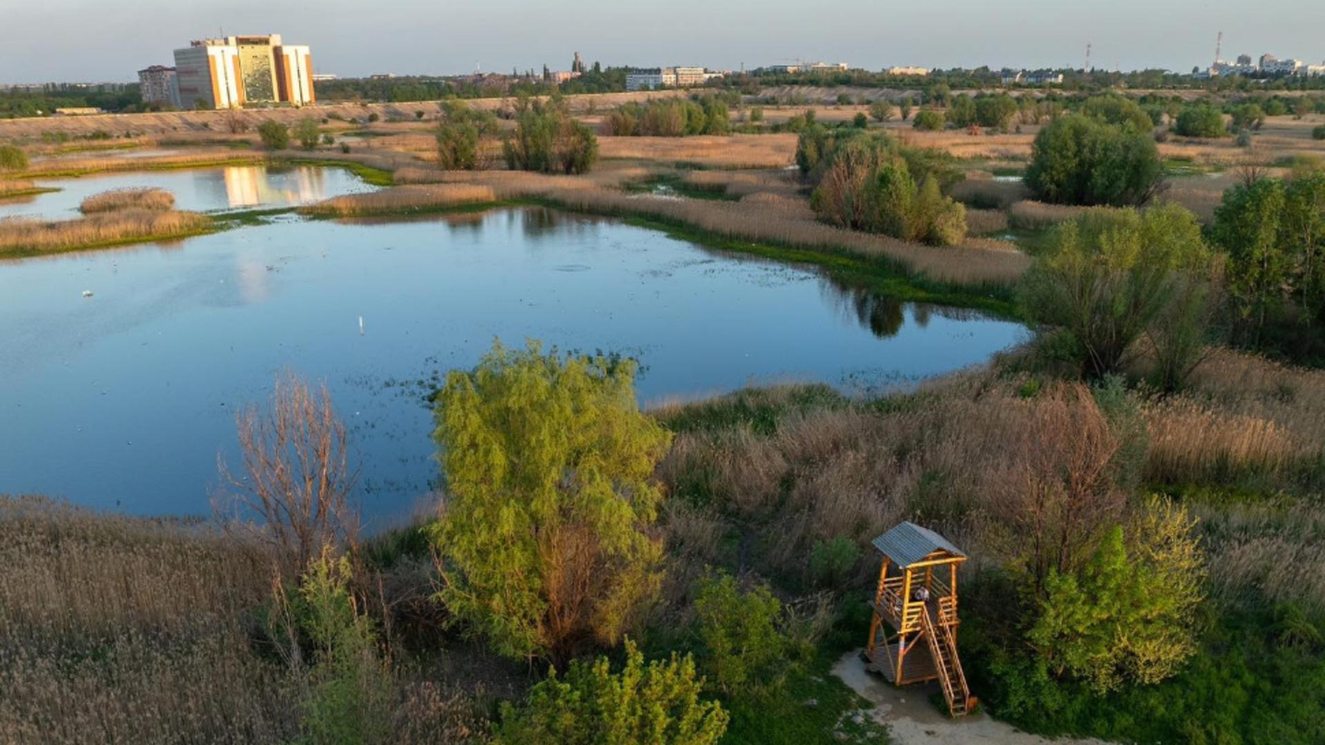 Răgaz de liniște și spectacol natural în Parcul Natural Văcărești 