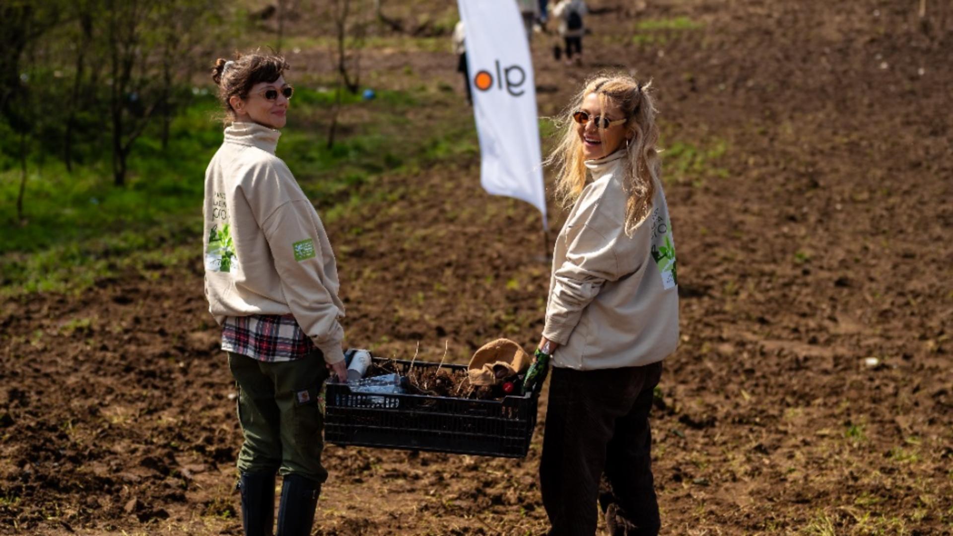 Promisiunea glo prinde rădăcini cu fiecare copac plantat!