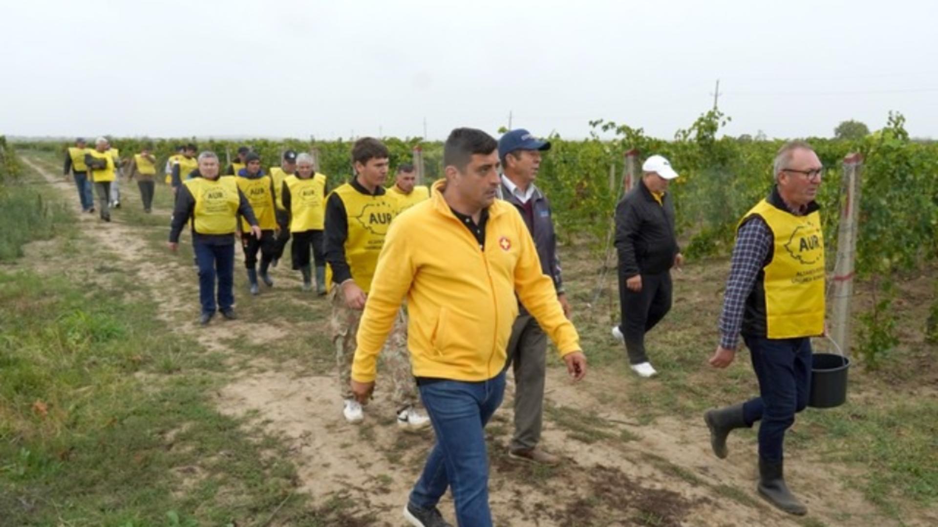 George Simion s-a întâlnit cu fermierii. Care este planul pentru salvarea agriculturii?
