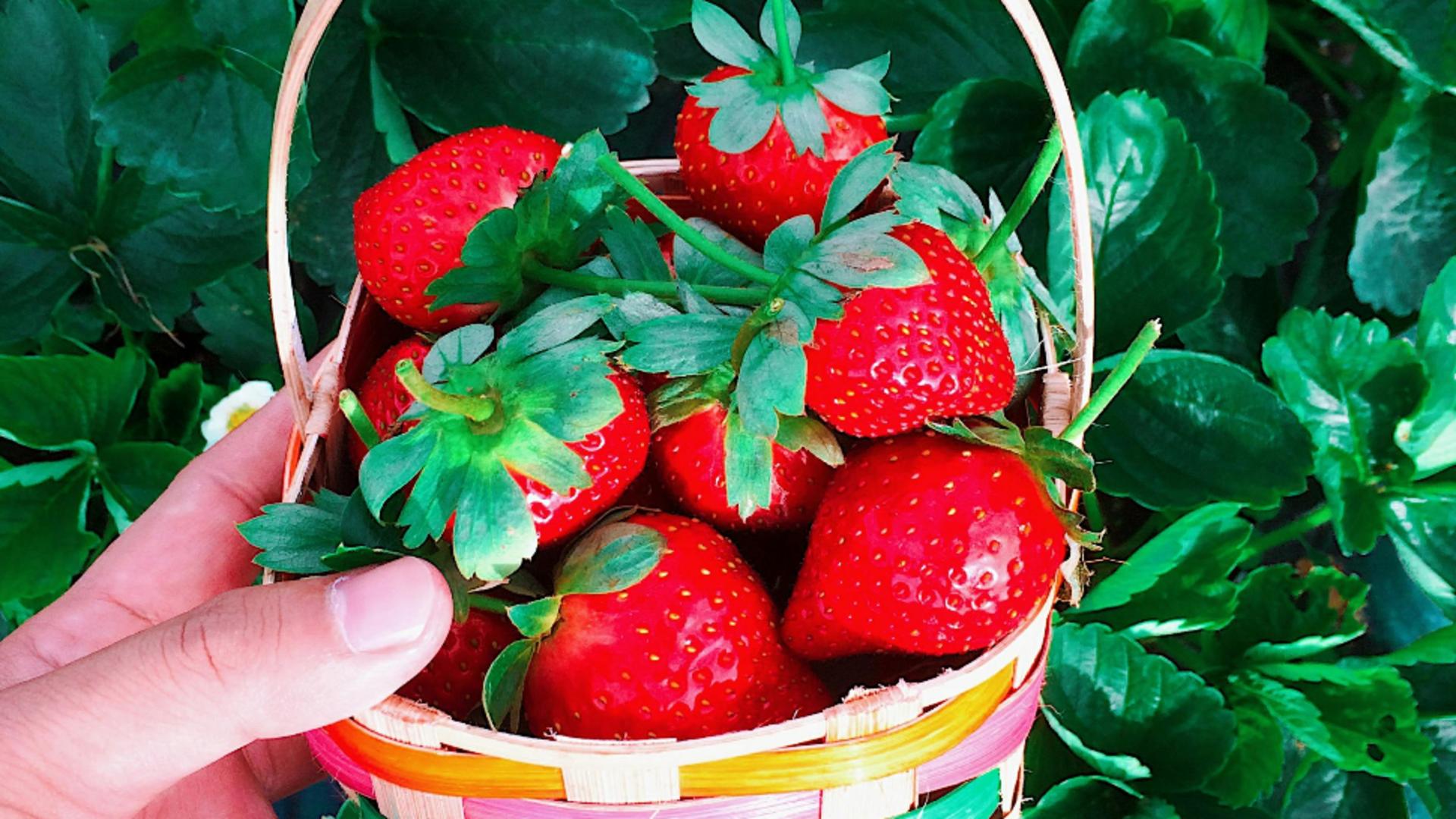 Ce sunt petele albe de pe căpșuni. Sigur nu știai asta!