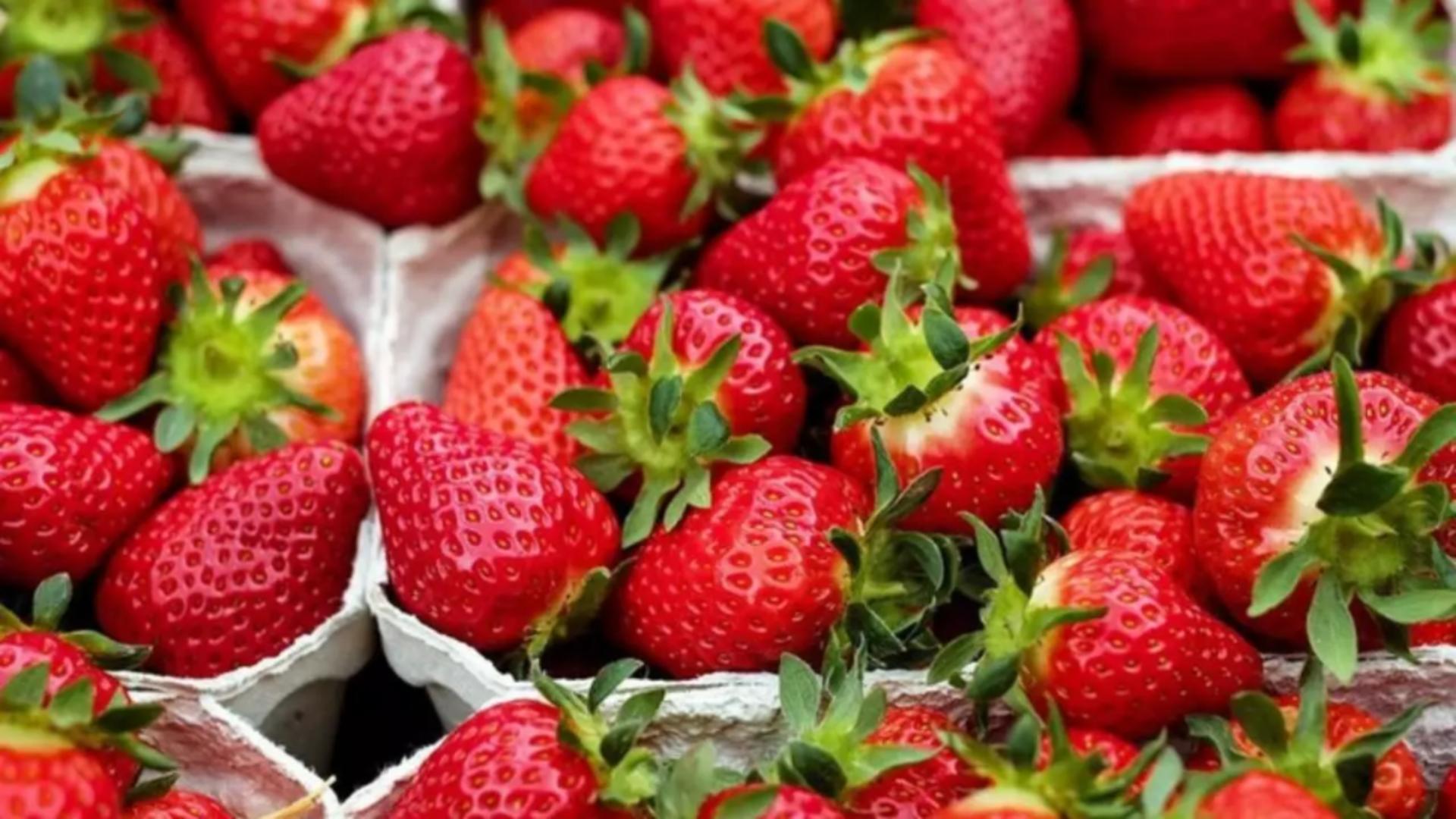 Secretul dezgustător pe care îl ascund căpșunile. De ce este bine să le speli temeinic înainte să le consumi