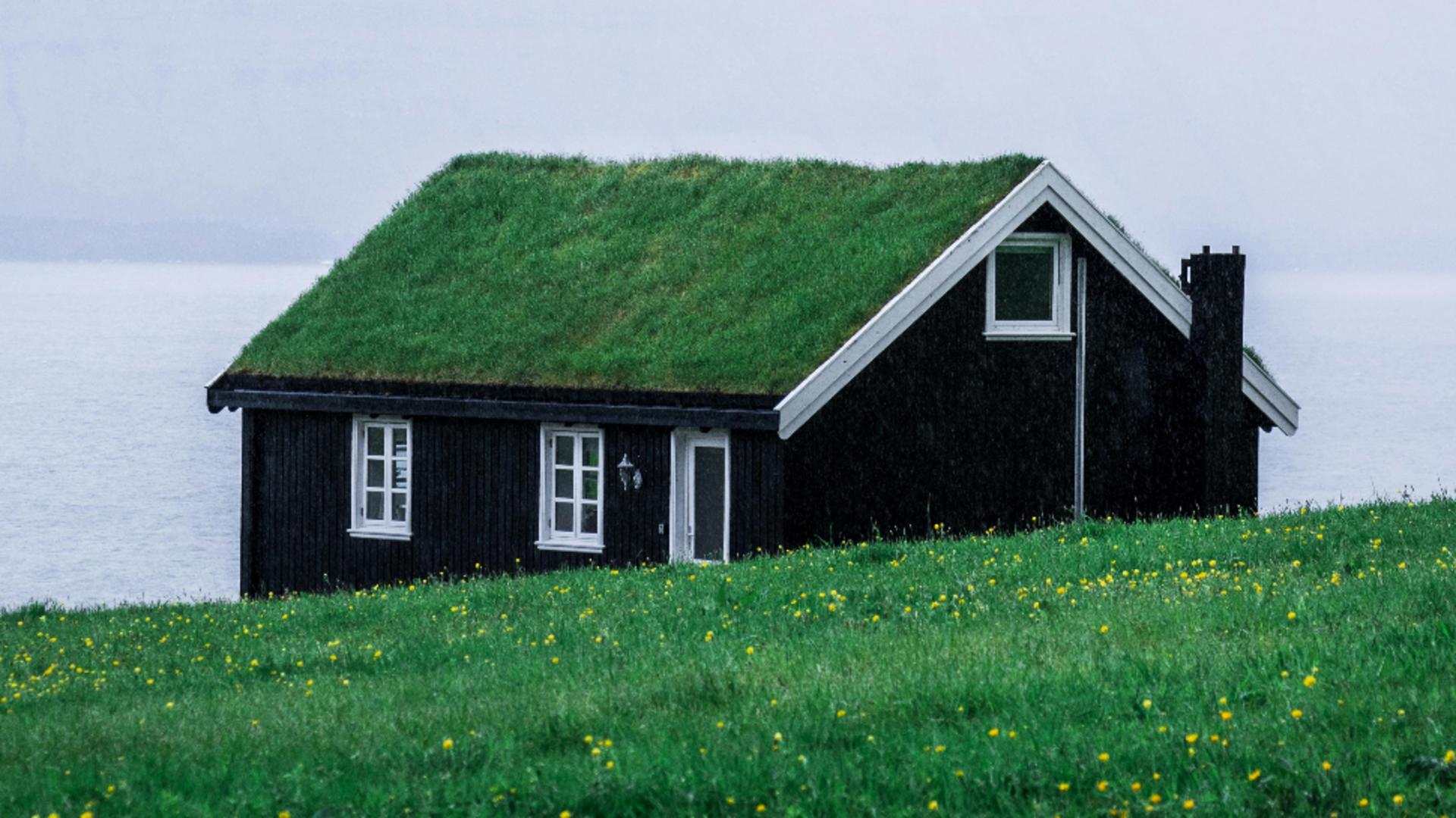 De ce sunt acoperite cu vegetație casele din Norvegia? Este un truc folosit din cele mai vechi timpuri