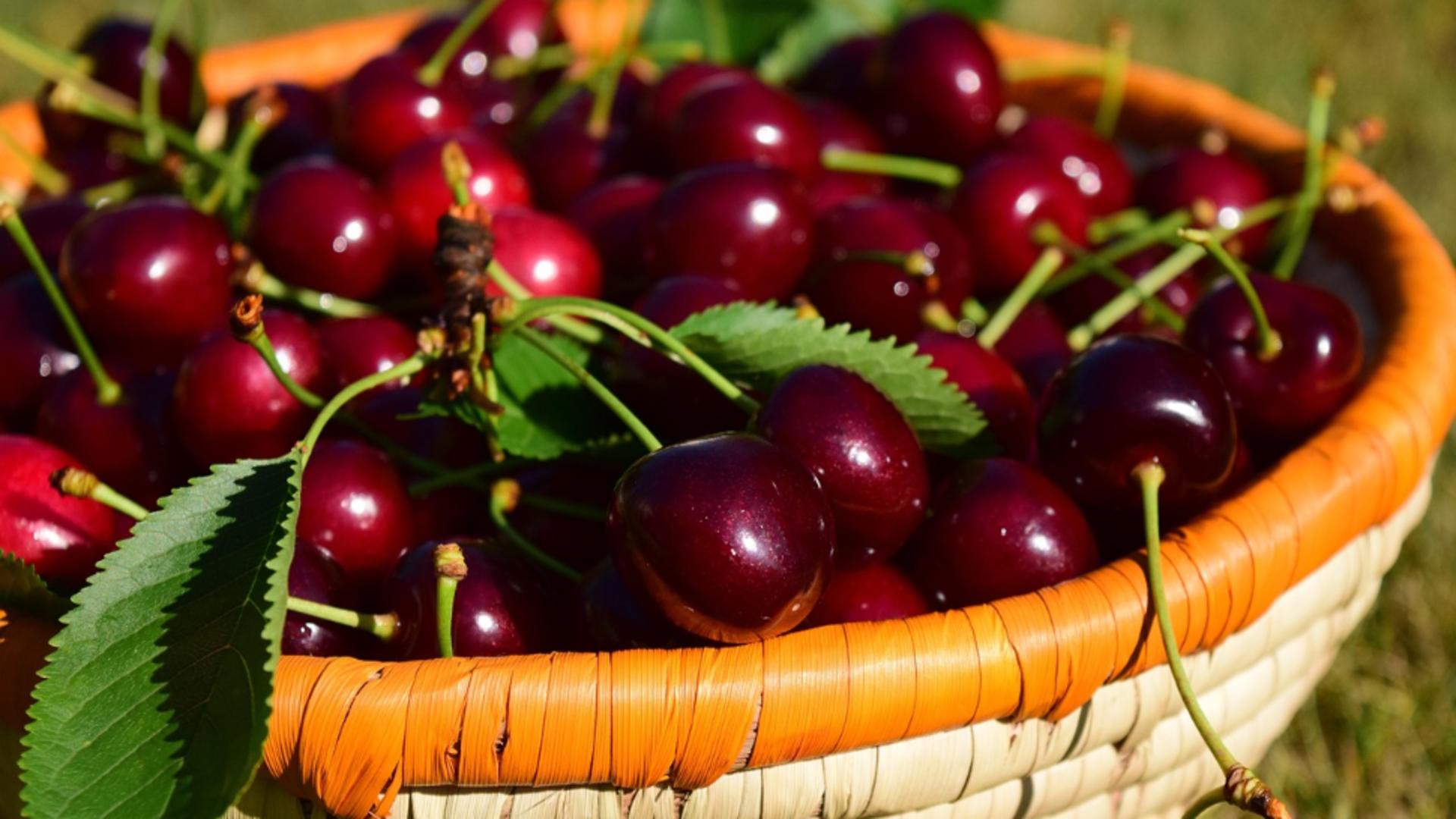 Prețuri uriașe în piețe pentru cireșe. Oamenii nu se apropie