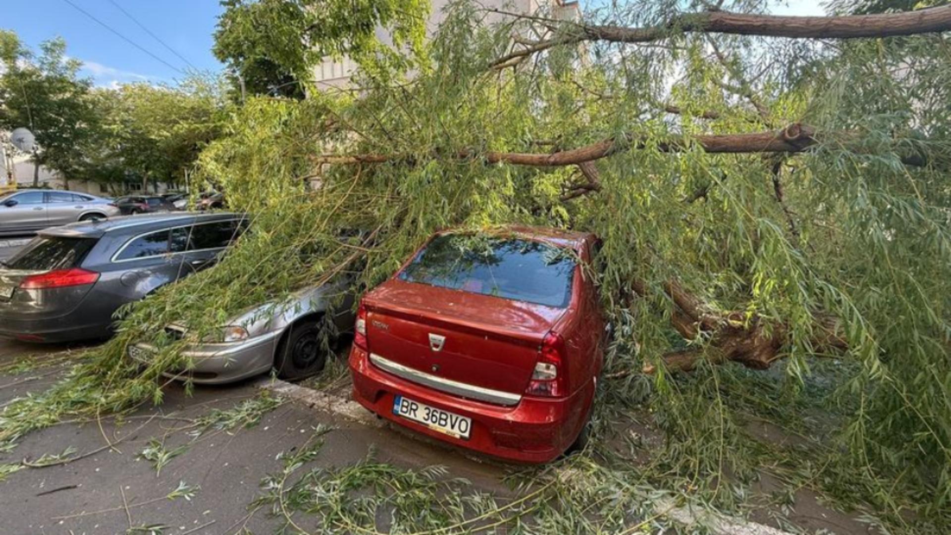 Copac smuls de vânt, prăbușit peste o femeie pe stradă. Victima, transportată la spital