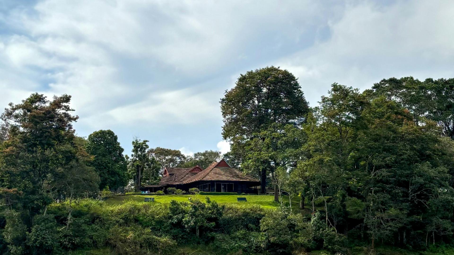 De ce să plantăm copaci in jurul casei? Care sunt beneficiile. Sigur nu știai asta!