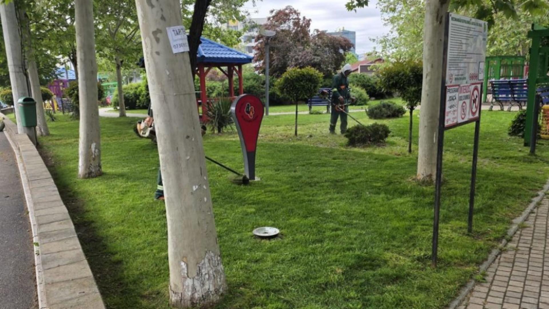 Un sector verde înseamnă o comunitate sănătoasă