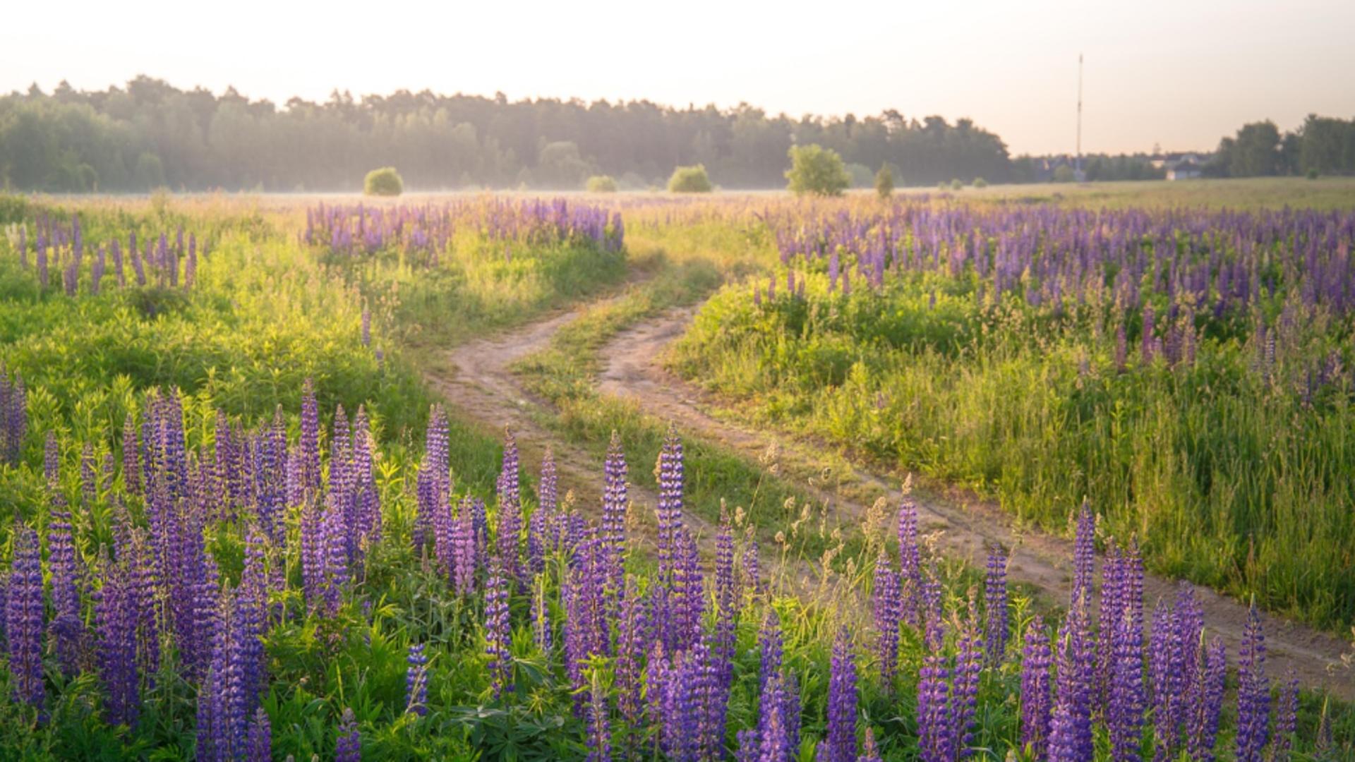Vara mai rece decât ne așteptam sau doar un mit? Elena Mateescu, directorul ANM, a anunțat ce temperaturi se vor înregistra în termometre în cel mai iubit anotimp de români
