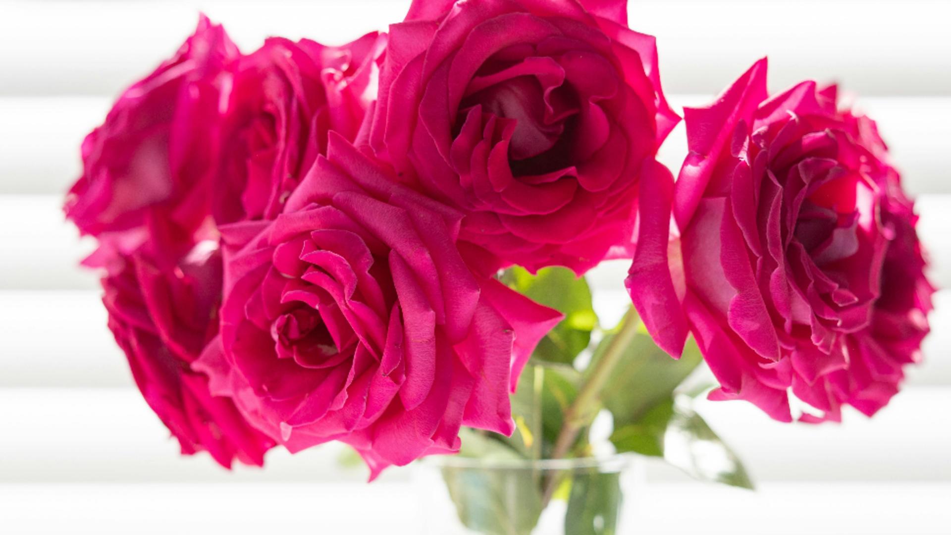 Ce se întâmplă dacă pui o monedă în vaza cu flori. Trucul pe care trebuie să-l cunoști