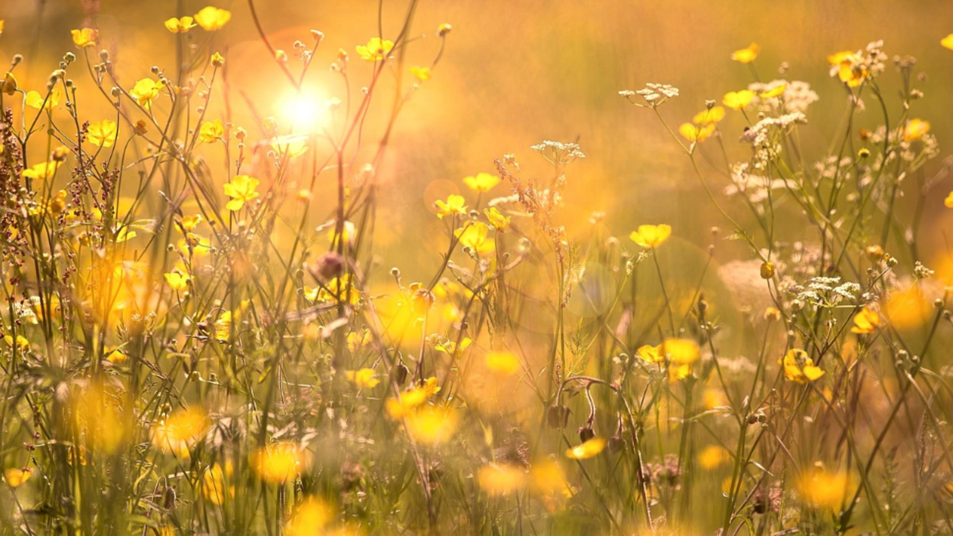 Anul acesta întârzie să apară: de când se încălzește vremea în toată țara? Temperaturile pot atinge 28 de grade, dar nu scăpăm de ploi