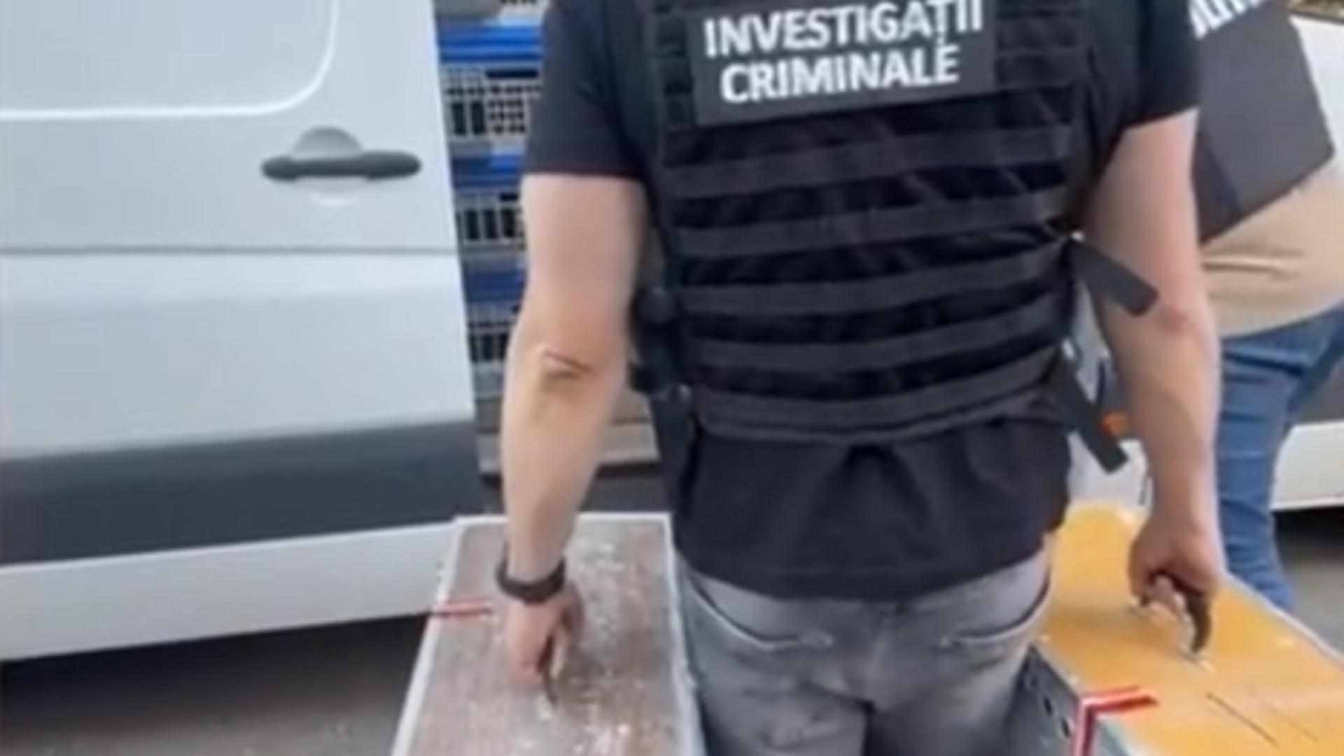 Reţea de hoţi de porumbei de rasă, destructurată: păsări de peste 2 milioane de euro furate din Belgia și găsite în Mehedinţi