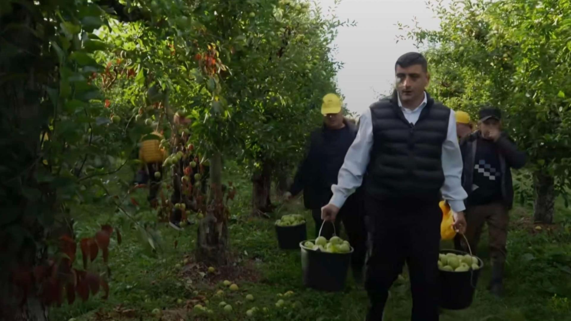 George Simion: Agricultorul român este baza acestei națiuni!