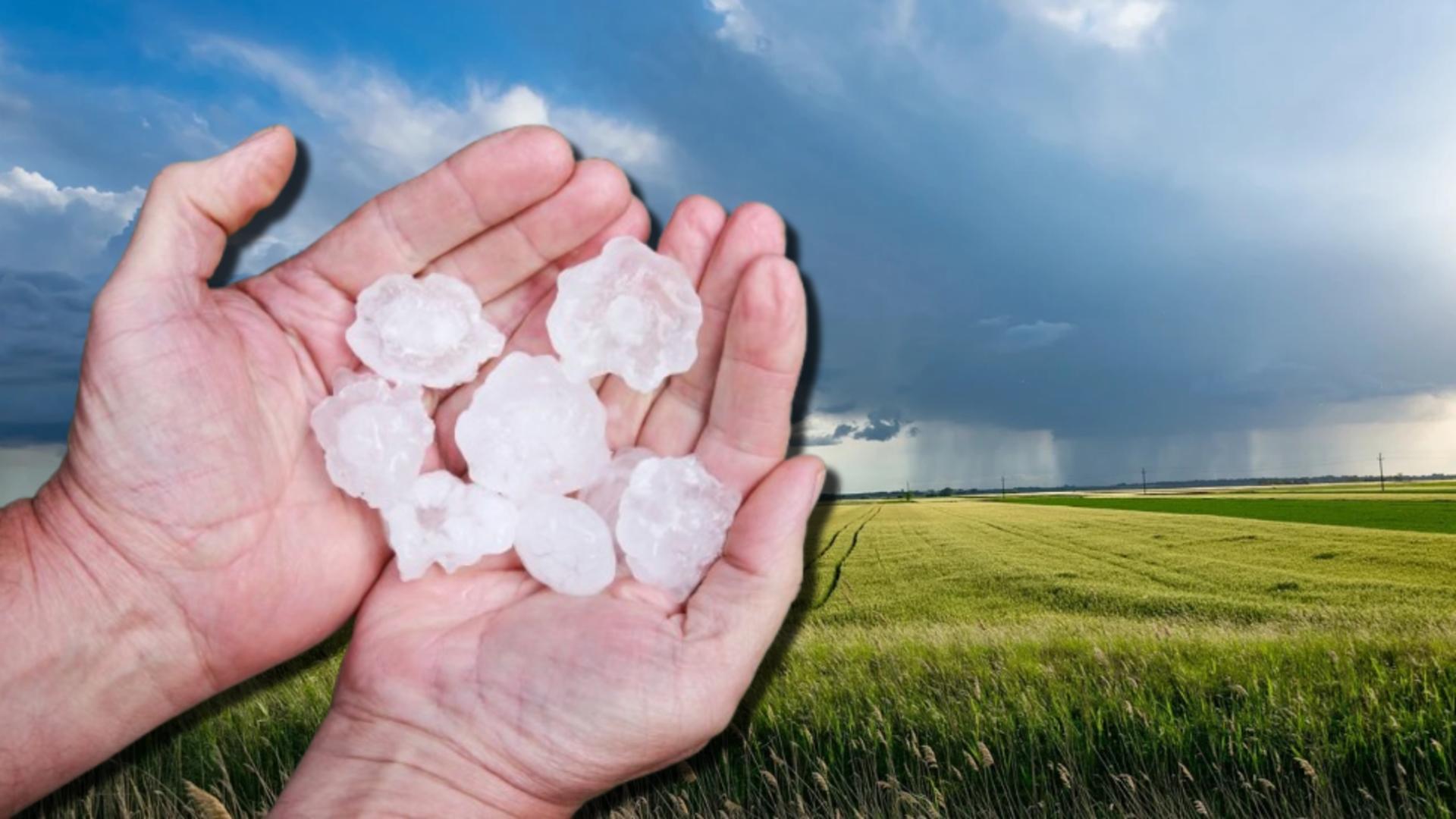 Vești bune pentru fermieri 