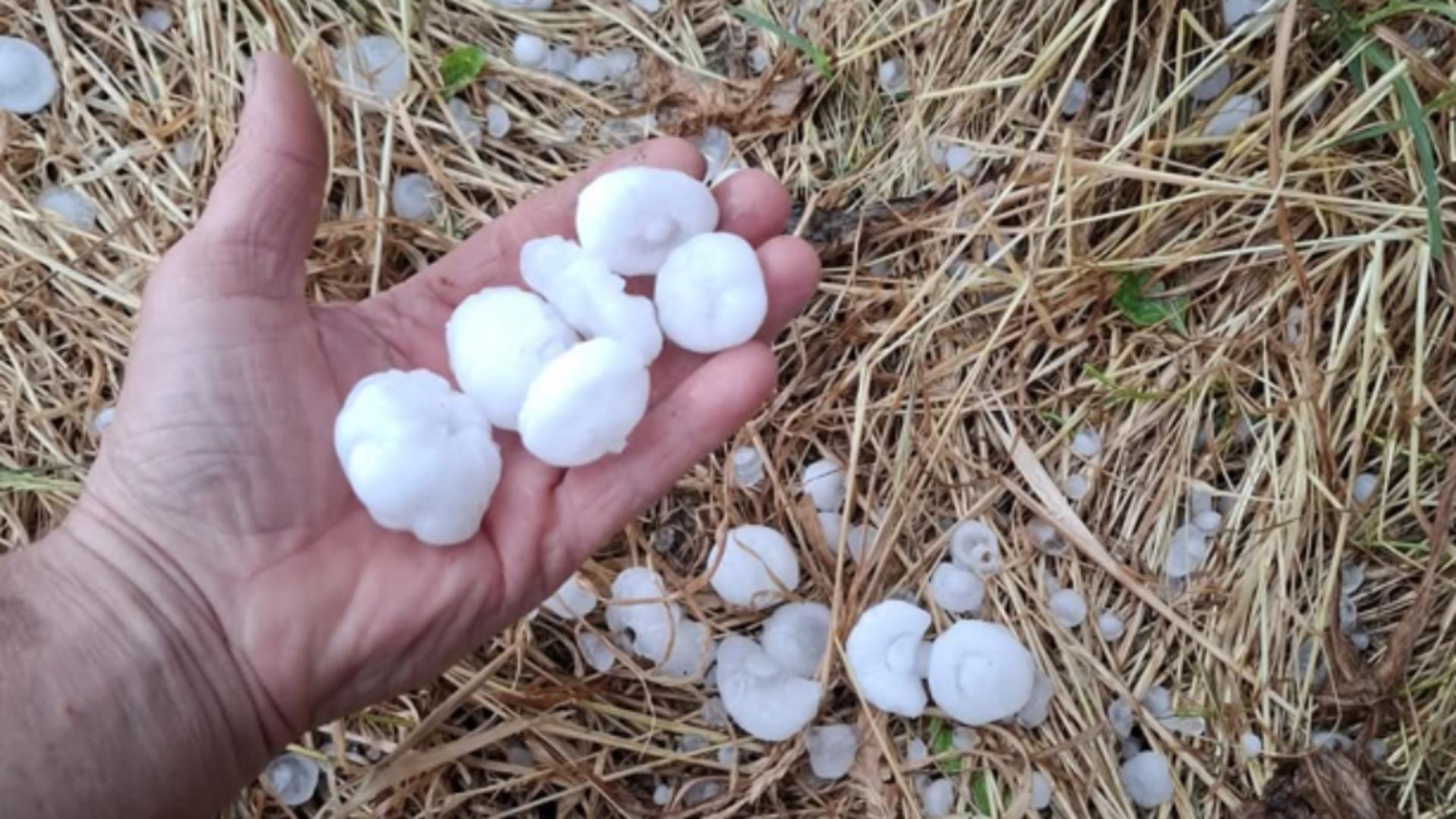 Bucăți de gheață cât ouăle de prepeliță la Lipnița și Băneasa. Foto: ziarulamprenta