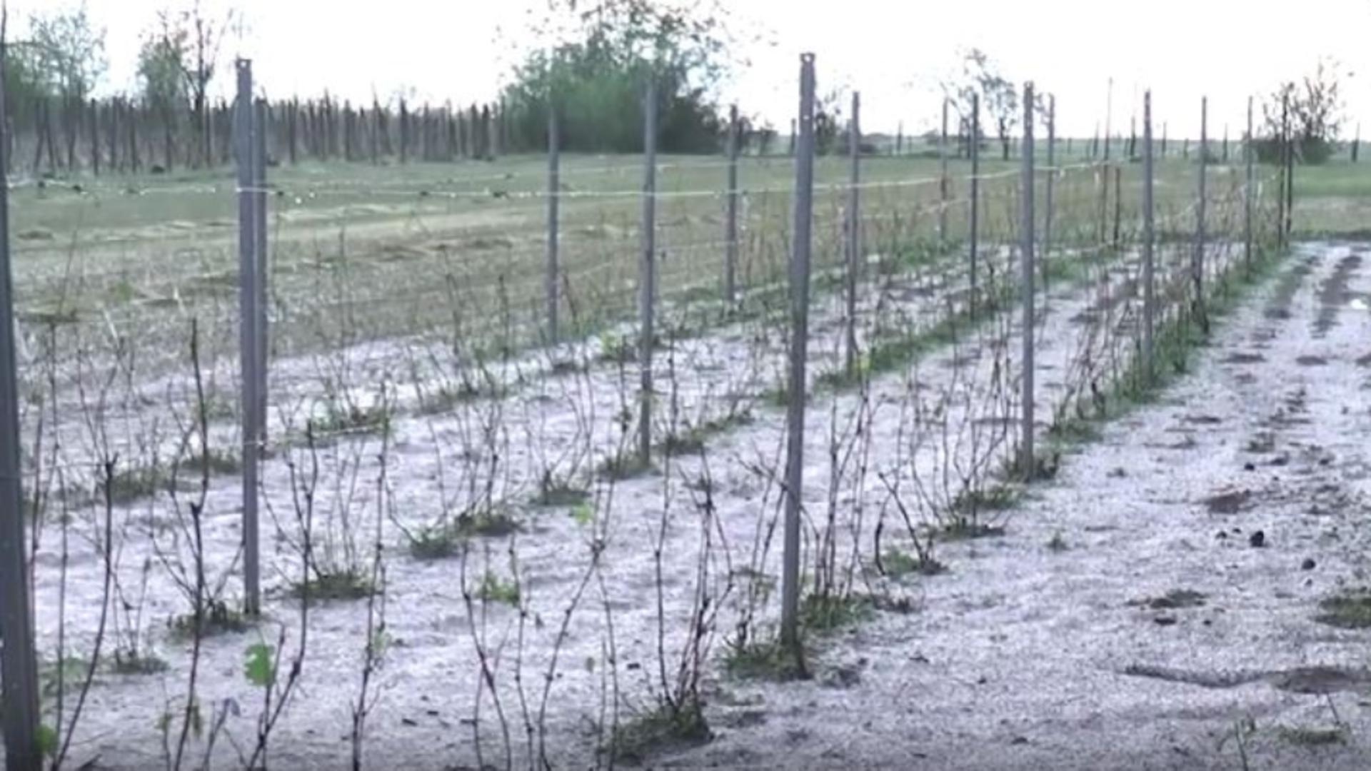 Pagube în localitățile lovite de furtunile cu grindină. Gospodării și terenuri agricole distruse
