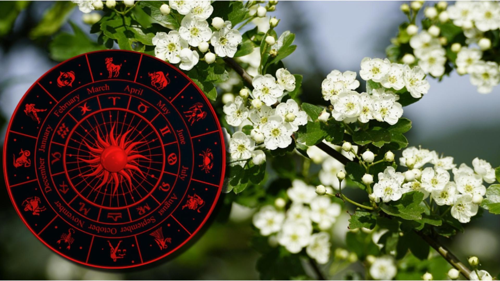 Horoscop weekend 17-18 mai. Fecioarele fac alegeri dificile, iar Peștii își schimbă destinul cu 180 de grade